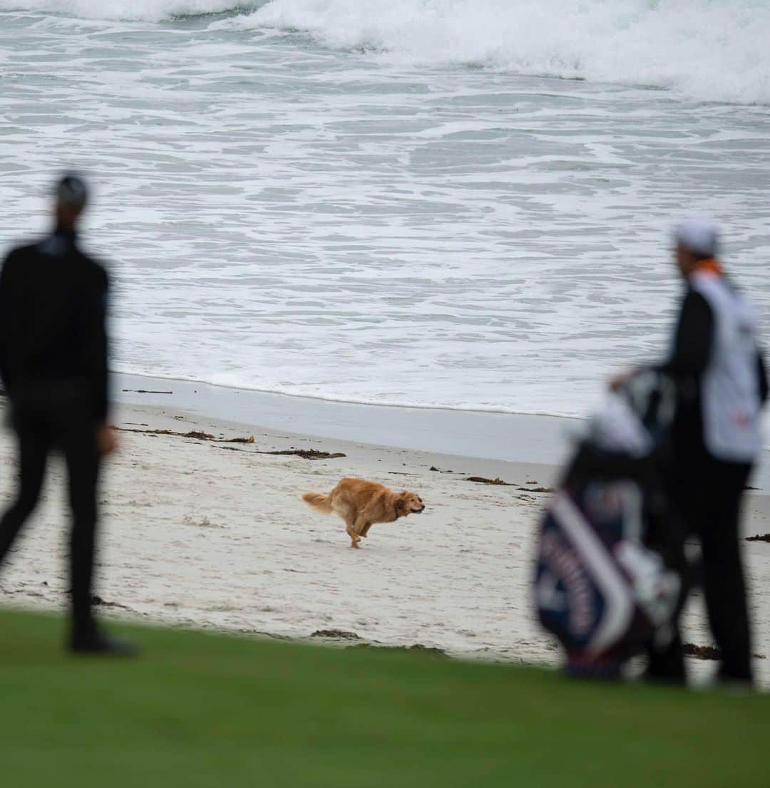 ヘンリク・ステンソンさんのインスタグラム写真 - (ヘンリク・ステンソンInstagram)「@usopengolf day 2. 📸 @matthewharrisphotographer」6月15日 14時50分 - henrikstenson