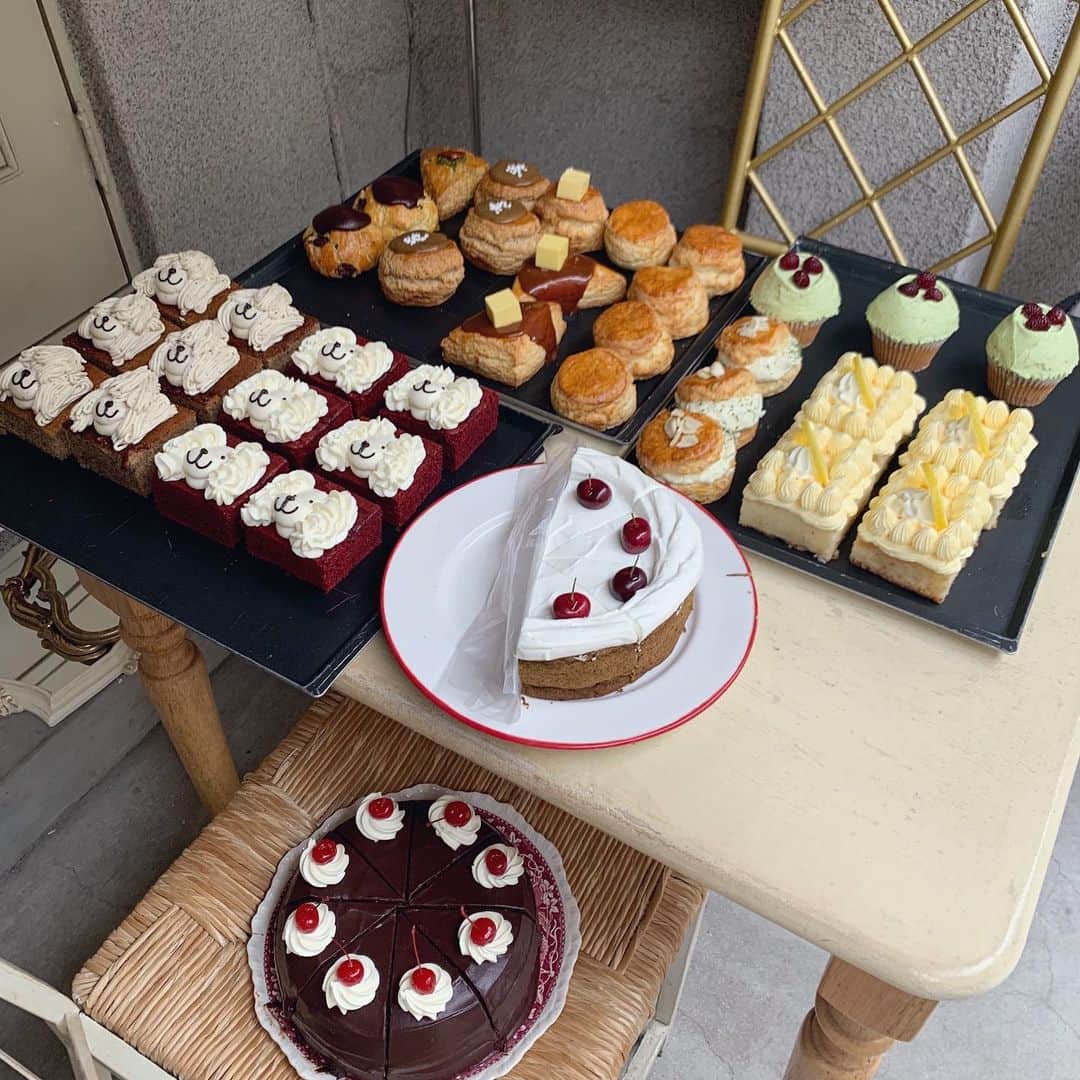 のインスタグラム：「🐶🍰」