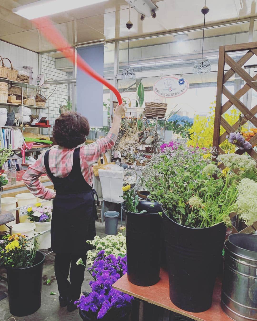 神谷洵平さんのインスタグラム写真 - (神谷洵平Instagram)「花屋の店先で店先でホースを回す母は、最近髪型をウーピーゴールドバーグに寄せている気がする。  #入りづらい花屋」6月15日 16時42分 - junpeikamiya