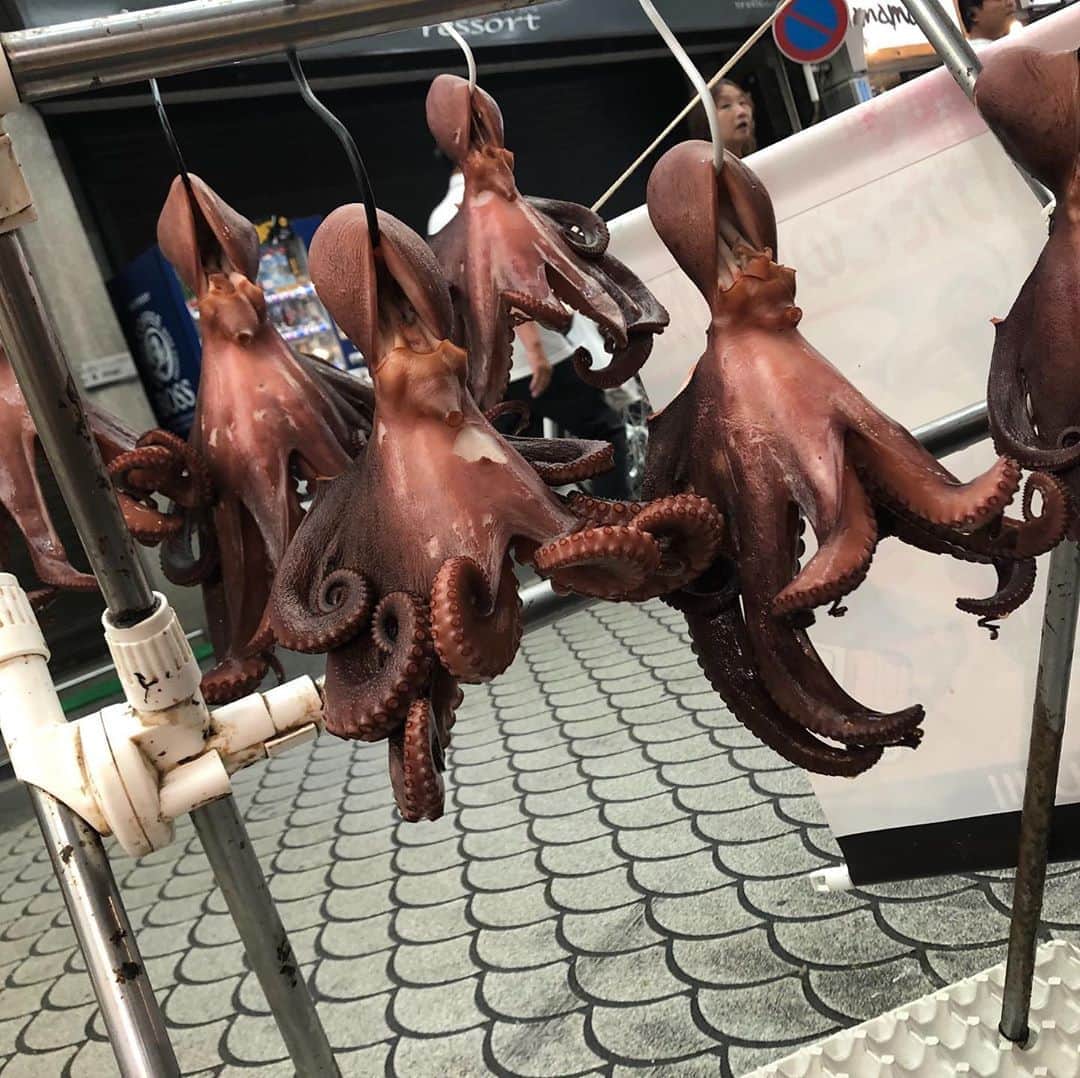 岸本加世子のインスタグラム：「兵庫県明石の商店街で明石タコ三昧🐙」