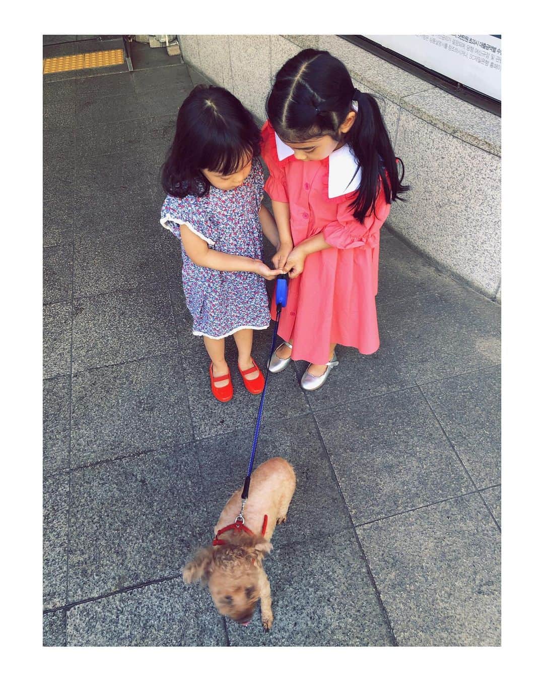 パク・ソルミさんのインスタグラム写真 - (パク・ソルミInstagram)「11살도토리가제일좋아하는시간」6月15日 17時11分 - park_solmi