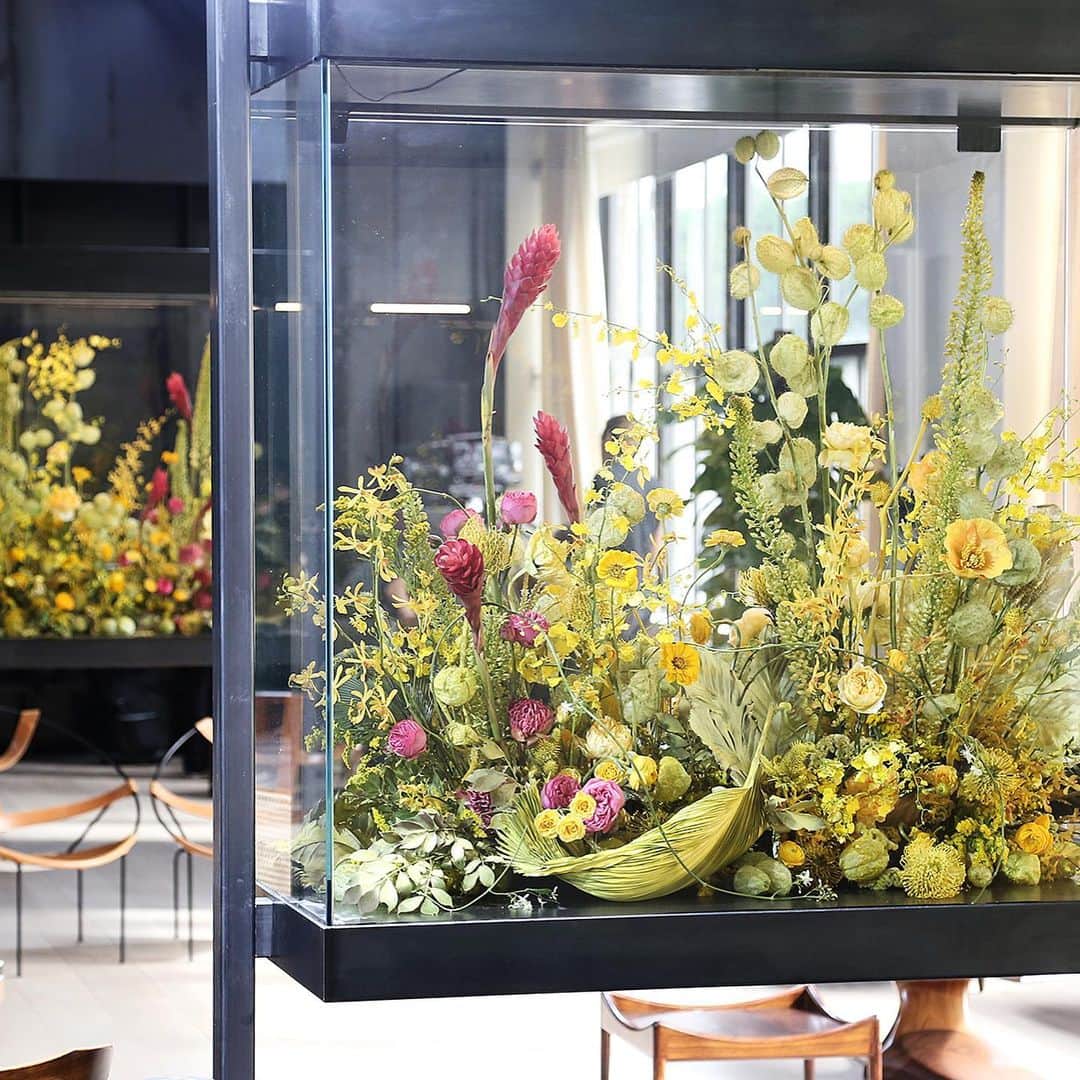 ジェイソンウーさんのインスタグラム写真 - (ジェイソンウーInstagram)「That time we made a floral aquarium @putnamflowers #jasonwucollection #jasonwu」6月15日 17時56分 - jasonwu