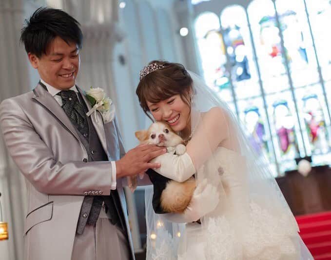 神戸セントモルガン教会さんのインスタグラム写真 - (神戸セントモルガン教会Instagram)「@kobe_st.morgan_church をフォローして、 #神戸セントモルガン教会 でお写真を投稿してくださいね* . ------------------- 大聖堂で大切な愛犬と 3人で記念ショット* ステンドグラスとお二人の笑顔が とってもキラキラしていて素敵です＊ ------------------- . ▽予約はTOPのリンクから❁ お問い合わせはDMに** >>>@kobe_st.morgan_church . ------------------- #結婚式 #ウェディング  #神戸花嫁 #神戸プレ花嫁  #関西花嫁 #神戸花嫁会 #神戸セントモルガン教会  #セントモルガン教会  #神戸結婚式 #KOBE #式場迷子 #ブライダルフェア #TAGAYA #weddingtbt #Dressy花嫁 #marryxoxo #ウェディングニュース #大聖堂 #チャペル #ステンドグラス  #愛犬  #愛犬フォト」6月15日 18時08分 - kobe_st.morgan_church
