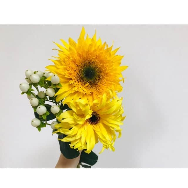 古屋敷沙耶さんのインスタグラム写真 - (古屋敷沙耶Instagram)「明日6月16日は父の日ですね👱‍♂️🌻 . . 私は焼酎飲み比べセットをプレゼント☺︎ すでに届いたようです♬ . . 先ほど雑貨屋さんに全く違う目的で入ったはずなのに、父の日ギフトコーナーの中にあったひまわりのミニブーケをつい買ってしまいました、、自分用に。笑 . . さて、父の日の明日は、日南市におじゃまします！ 詳しくは2枚目をご覧ください🌟 ご家族そろって是非遊びに来てくださいね。 . . . #父の日#ひまわり#🌻 #あんべらしゅーやっちょんなぁ  #公開録音#ラジオ#日南市」6月15日 18時16分 - mrt.furuyashiki