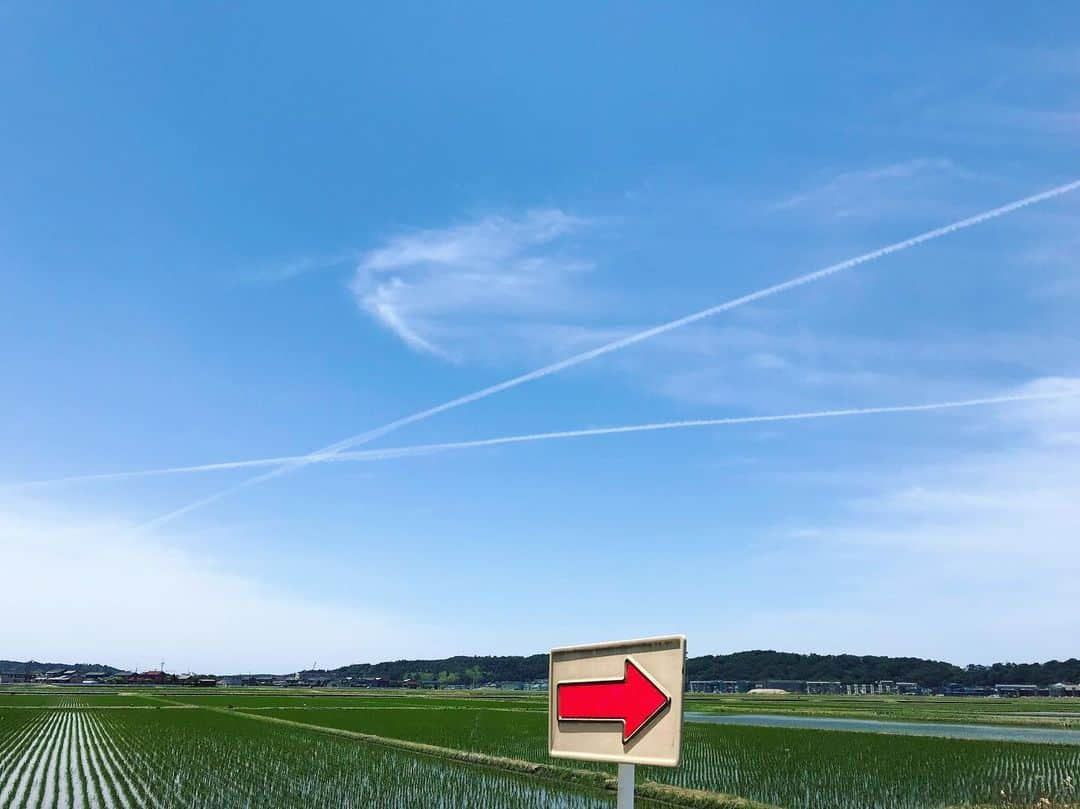 大湖せしるさんのインスタグラム写真 - (大湖せしるInstagram)「﻿ ﻿ 雨の日こそ﻿ 青空の写真を﻿ ﻿ 飛行機雲﻿ かわいいー﻿ ﻿ 今日は﻿ どんな一日でしたか？﻿ ﻿ あたしは﻿ 今から﻿ お仕事です﻿ ﻿ いってきま﻿ ﻿ ﻿#雨 #梅雨 #湿気 #どんより  #そんなときこそ #明るい写真  #明日は #晴れ  #今日は #折りたたみ傘  #いってきます」6月15日 18時53分 - cecile_daigo