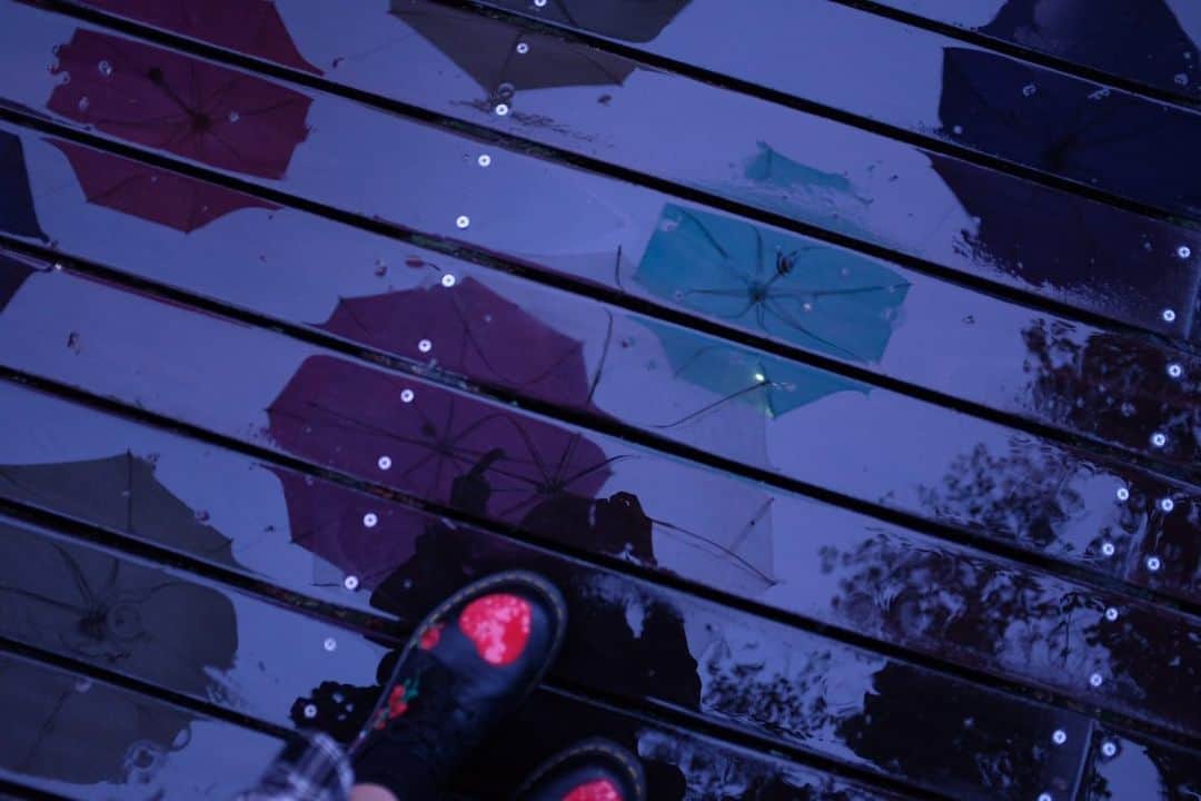 Ryokoさんのインスタグラム写真 - (RyokoInstagram)「#ryokocamera #rainyday #umbrellas #rain」6月15日 19時23分 - ryoryo_music