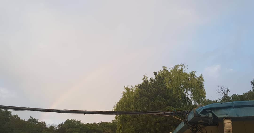 ギグァンのインスタグラム：「RAINBOW」