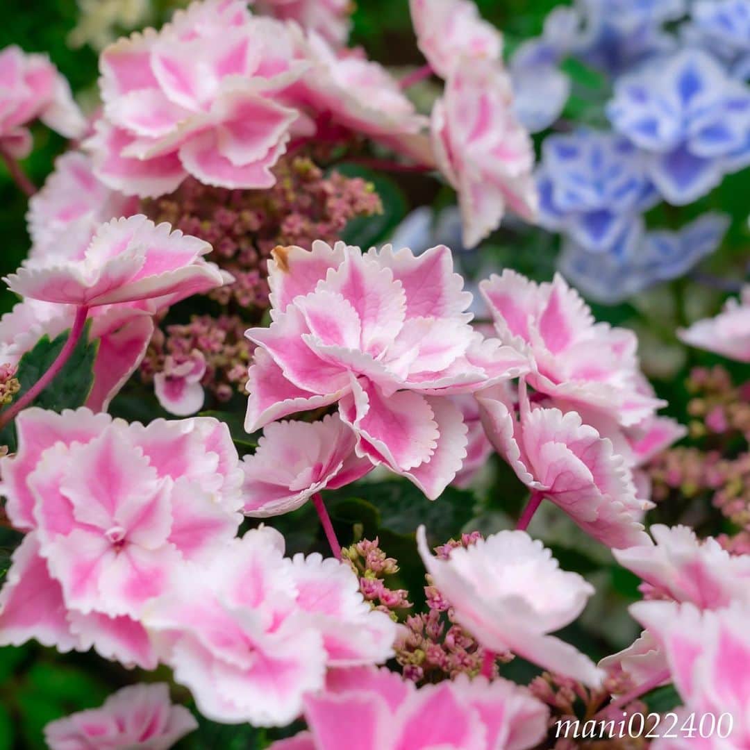 mani022400のグルメインスタ