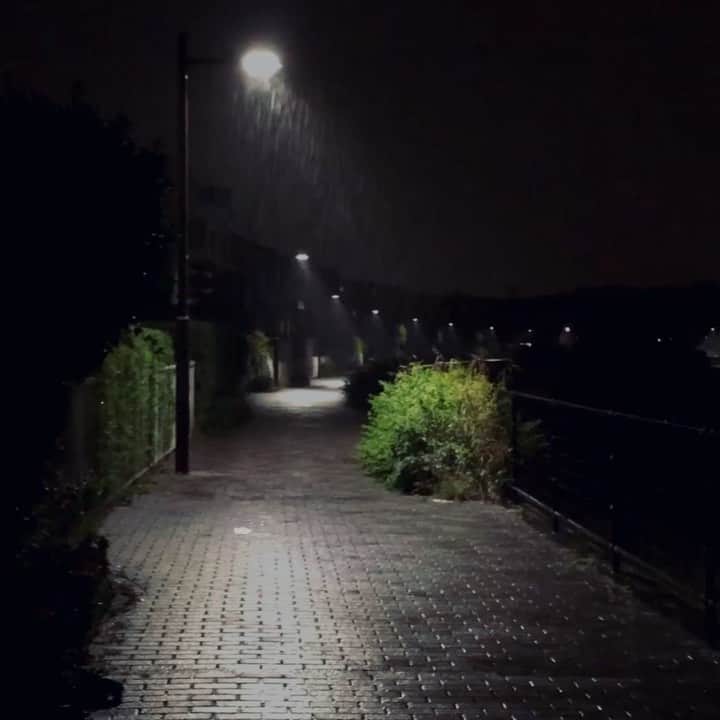 合田経郎のインスタグラム：「雨が大はしゃぎ。」