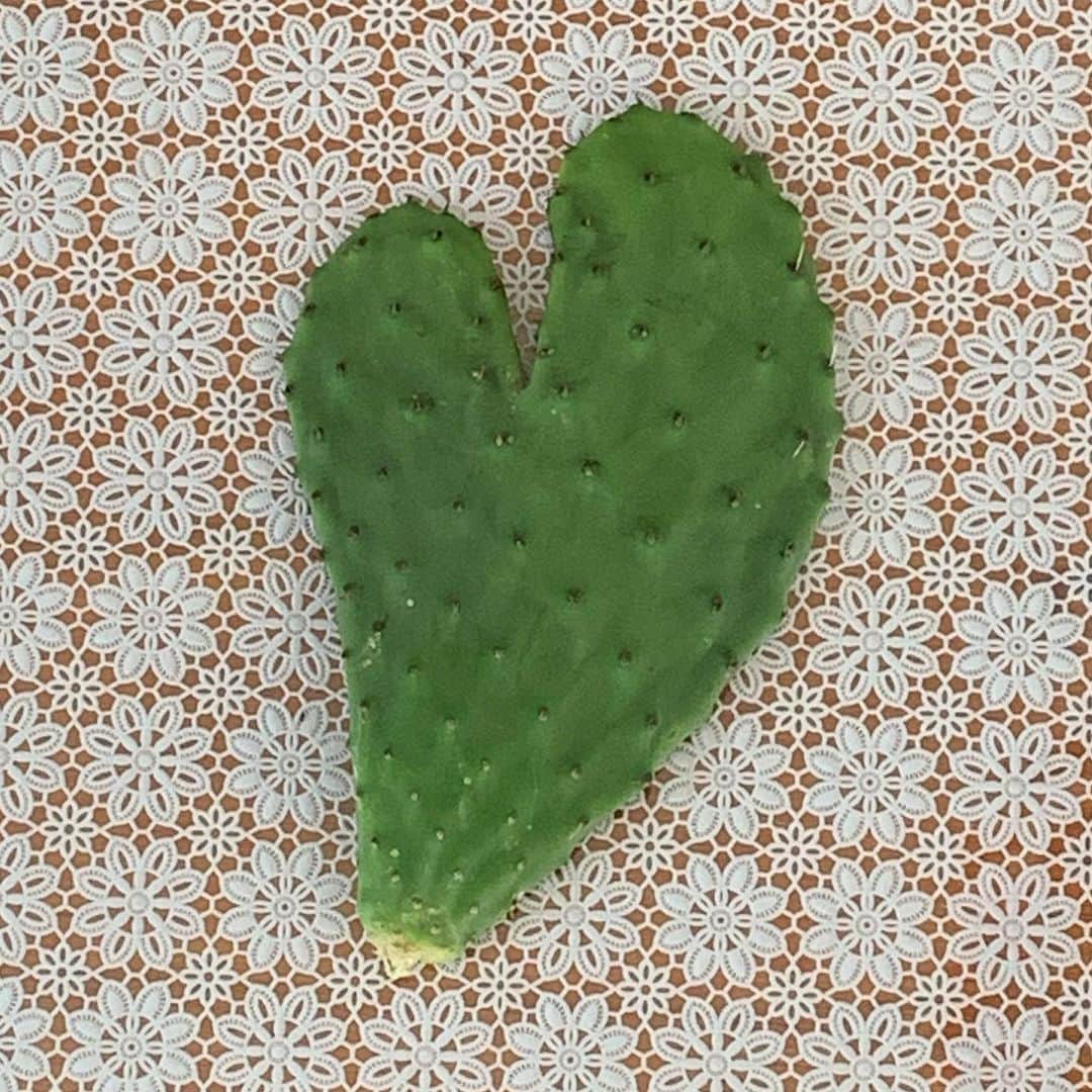 ジャンポールレスパナールのインスタグラム：「. Sweet kisses from Athens Cacti love 🌵」