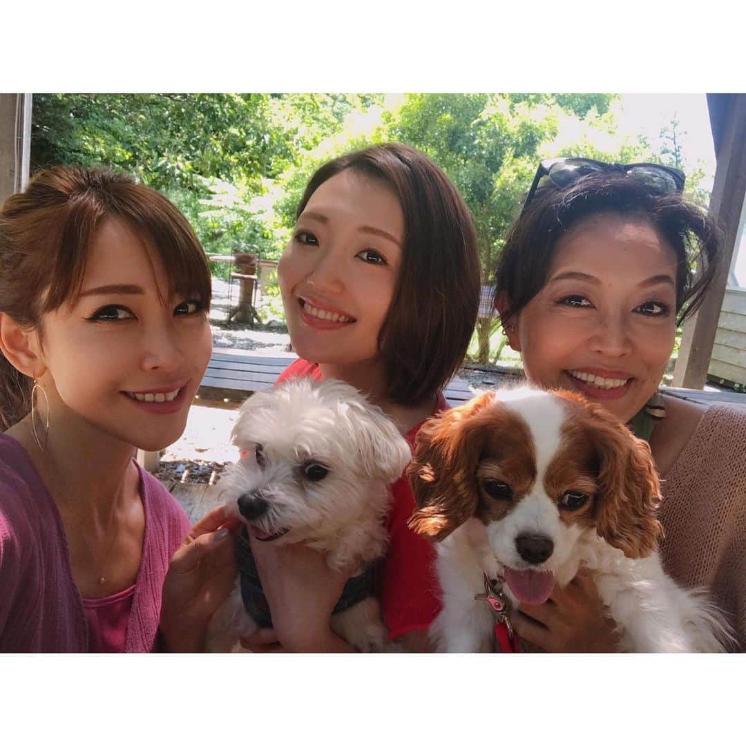 長谷川朋美さんのインスタグラム写真 - (長谷川朋美Instagram)「先日、素敵親子がワンコ連れで葉山に遊びに来てくれました😊 @syokuyabo でランチ✨ ・ 自然の中で身体と心に優しいお料理を食べて、ワンコたちも満足げ💓 ・ こういう場所が葉山にはたくさんあって最高🌈 ・ #hayama #葉山 #naturallife #自然 #nature #葉山ライフ #resortlife #holistic #素敵親子 #わんこ生活 #dogs #プリン #ピコタン #キャバリア #マルチーズ」6月15日 20時35分 - hasegawa.elena.tomomi