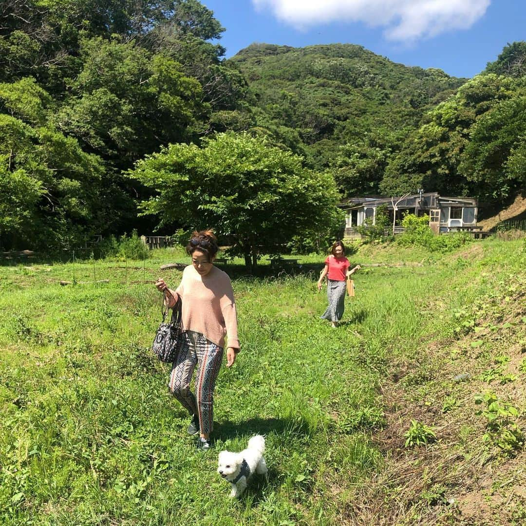 長谷川朋美さんのインスタグラム写真 - (長谷川朋美Instagram)「先日、素敵親子がワンコ連れで葉山に遊びに来てくれました😊 @syokuyabo でランチ✨ ・ 自然の中で身体と心に優しいお料理を食べて、ワンコたちも満足げ💓 ・ こういう場所が葉山にはたくさんあって最高🌈 ・ #hayama #葉山 #naturallife #自然 #nature #葉山ライフ #resortlife #holistic #素敵親子 #わんこ生活 #dogs #プリン #ピコタン #キャバリア #マルチーズ」6月15日 20時35分 - hasegawa.elena.tomomi