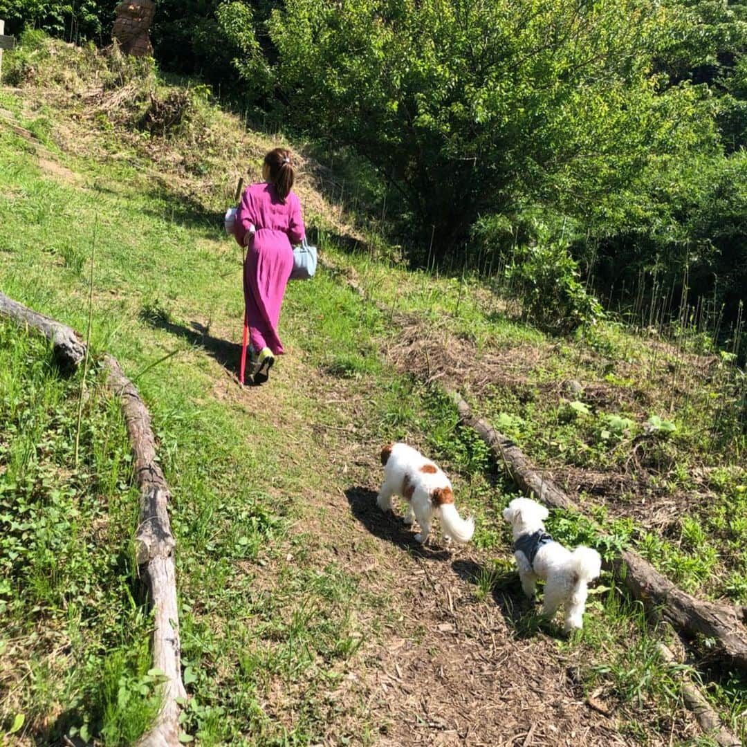 長谷川朋美さんのインスタグラム写真 - (長谷川朋美Instagram)「先日、素敵親子がワンコ連れで葉山に遊びに来てくれました😊 @syokuyabo でランチ✨ ・ 自然の中で身体と心に優しいお料理を食べて、ワンコたちも満足げ💓 ・ こういう場所が葉山にはたくさんあって最高🌈 ・ #hayama #葉山 #naturallife #自然 #nature #葉山ライフ #resortlife #holistic #素敵親子 #わんこ生活 #dogs #プリン #ピコタン #キャバリア #マルチーズ」6月15日 20時35分 - hasegawa.elena.tomomi