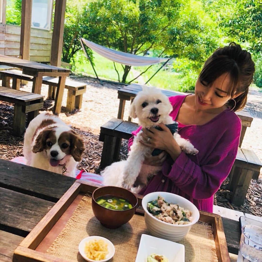 長谷川朋美のグルメインスタ