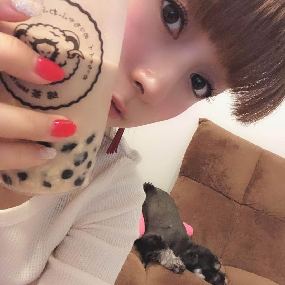 たかはしゆいさんのインスタグラム写真 - (たかはしゆいInstagram)「・ ぷりんミルクティ を頼んで ぷりん風味のミルクティかな？ と思ったら ・ ミルクティの中にぷりんがドカンと入ってた！そこにタピオカをトッピング！ ・ 不思議な感覚だったけど、美味しかった(笑) ・ 初めて行ったお店だったし ほかのドリンクも試してみたくなったよ😊🌸🌸 ・ #タピオカミルクティ #後ろに愛犬 #きぃ #ミニチュアシュナウザー #後ろで爆睡 #綿茶 #プリンミルクティー #斬新 #ブラックタピオカ #たかはしゆい」6月15日 20時39分 - t.yuirin