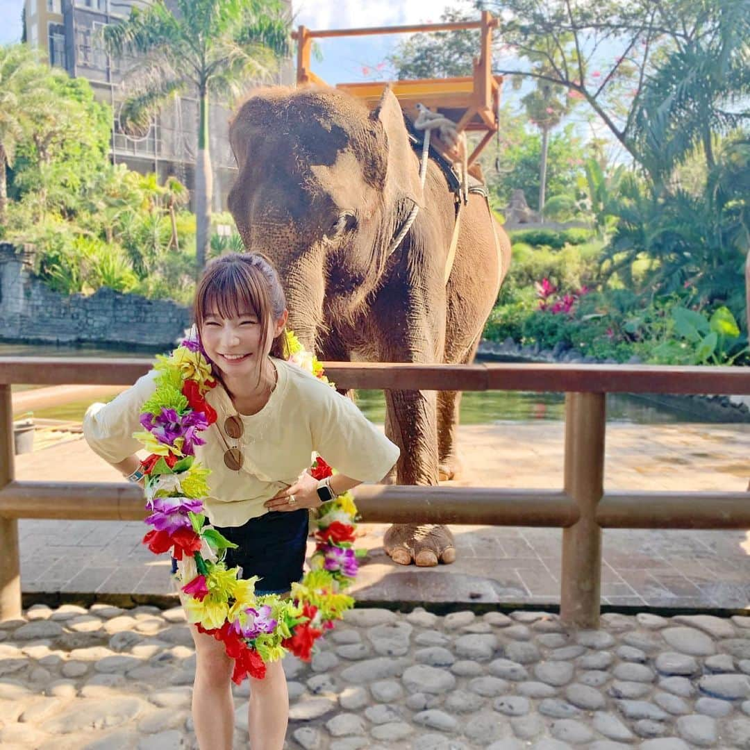 山内あいなさんのインスタグラム写真 - (山内あいなInstagram)「象さんからのプレゼント🐘🌺 #BALI」6月15日 21時10分 - ainayamauchi3131