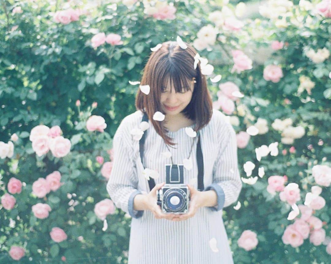 Masaさんのインスタグラム写真 - (MasaInstagram)「. . . バラの花びらパッサーしたけど、風に流れた🥀 . . 昨日の雨予報、ほぼ雨も降らずもってくれました😚 今日も暇してます。誰か…。 . コメント気にしないでください😌 . . 撮影日 : 2019年6月1日 . #まさ35 #ヤマプリ #35mm #nikonfm2 #instagramjapan #igersjp #tokyocameraclub #film_com  #impression_shots #art_of_japan_ #photogenic_jp #GPW_members_only #good_portraits_world #film_jp #film #フィルム #filmcamera #filmphotography #portrait #ポートレート #photogram_archive  #todays_blue_collection #pof_ig #hibi_jp #team_jp_ #滋賀 #バラ #バラfes_2019春 #米原 #ローザンベリー多和田」6月16日 7時24分 - masa_nikonist