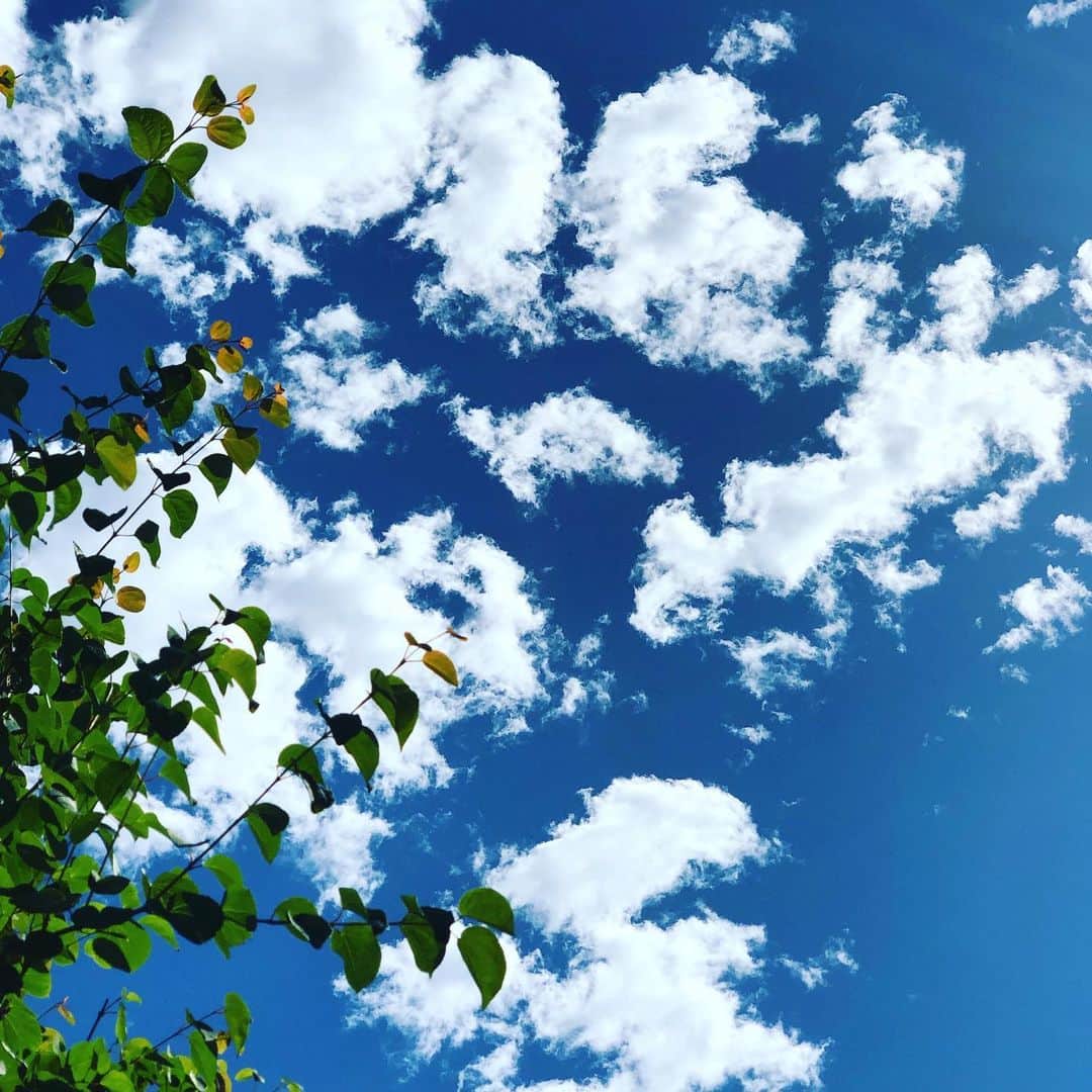 佐藤尚之のインスタグラム：「#輝かしい朝」