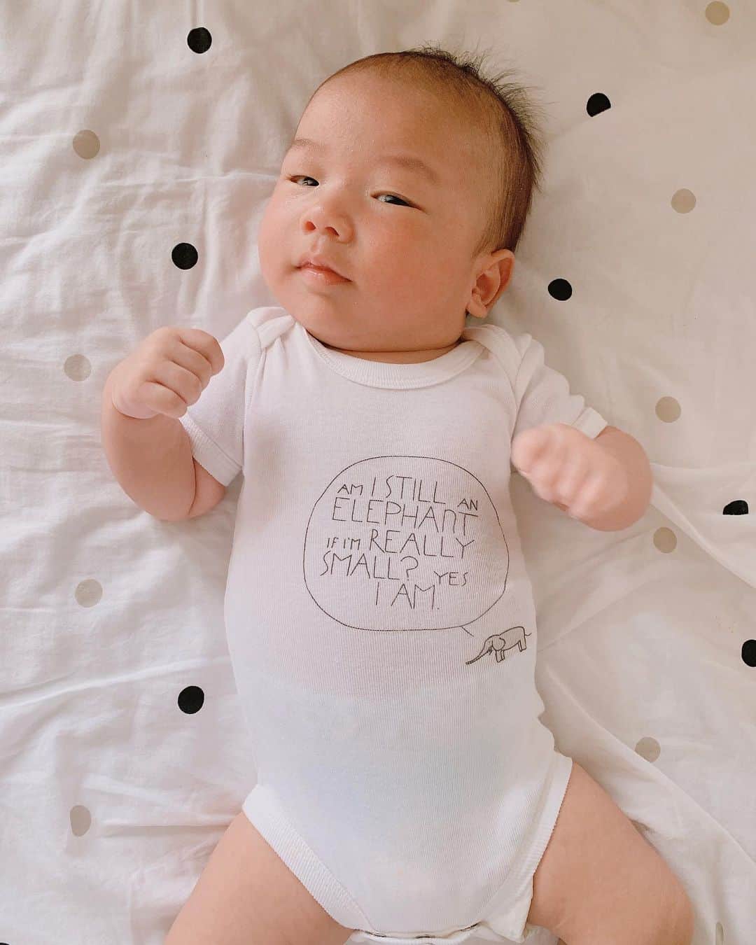 Miho Tanakaさんのインスタグラム写真 - (Miho TanakaInstagram)「⚡️ #赤ちゃんの洋服サイズには気をつけろ ⚡️﻿ ﻿ 先日、1ヶ月半のHIROTO用に、﻿ 2枚組のロンパースをネットで注文してましてん。﻿ ﻿ ﻿ 「うちの子、大きめだからちょっと大きめがいいかな」﻿ ﻿ 「でも、今だからこそ着れるジャストサイズも欲しいな」﻿ ﻿ って思いながらポチっと。﻿ ﻿ ﻿ 3〜6month（3ヶ月〜6ヶ月用）﻿ って書いてるし、うちの子ならこれくらいがジャストだろうと。﻿ ﻿ 到着して驚愕。﻿ これはチワワの服ですか？ってくらいのサイズ感😲﻿ ﻿ ﻿ え？待って。﻿ 生まれた日でもこのサイズ、たぶん着れない。﻿ ﻿ ﻿ でも、もしかしたらめちゃくちゃ伸びるロンパースなのか？とか思って一回着せてみたんだけど。﻿ ﻿#スワイプしてね ﻿ ビール腹🍺のおじさんが肌着着てるようにしか見えなかった🙄😂👴w﻿ ﻿ なんとか着れてるけど、やっぱりきつそうだからすぐ脱がせた😹 （ちなみに写真より実際の方が面白かったよ）﻿ ﻿ ﻿ 赤ちゃん服に明記されてる◯ヶ月って、個人差あるからほんとあてにならないね😂﻿ ﻿ ﻿ ちなみに今メインで着てるロンパース達は、6ヶ月〜9ヶ月用のやつばかり。﻿ まだ1ヶ月半なのに。﻿ ﻿ ﻿ どうなってるんやー😂！！！﻿ ﻿ __________________﻿ ﻿ #悲報 #サイズ選び #ミス #赤ちゃん服﻿ #ロンパース #bigbaby #生後1ヶ月半﻿ #赤ちゃん #赤ちゃんのいる暮らし﻿ #ロンパースコーデ #おむつはSサイズ﻿ #一瞬で新生児サイズはきつくなった﻿ #驚き #ビッグべビー #がたいがいい  #男の子ベビー #男の子ママ #ママカメラ #カトージ #どんどんサイズアウト #すくすく子育て ﻿ ﻿ ﻿ ﻿」6月16日 8時05分 - mie__blogger