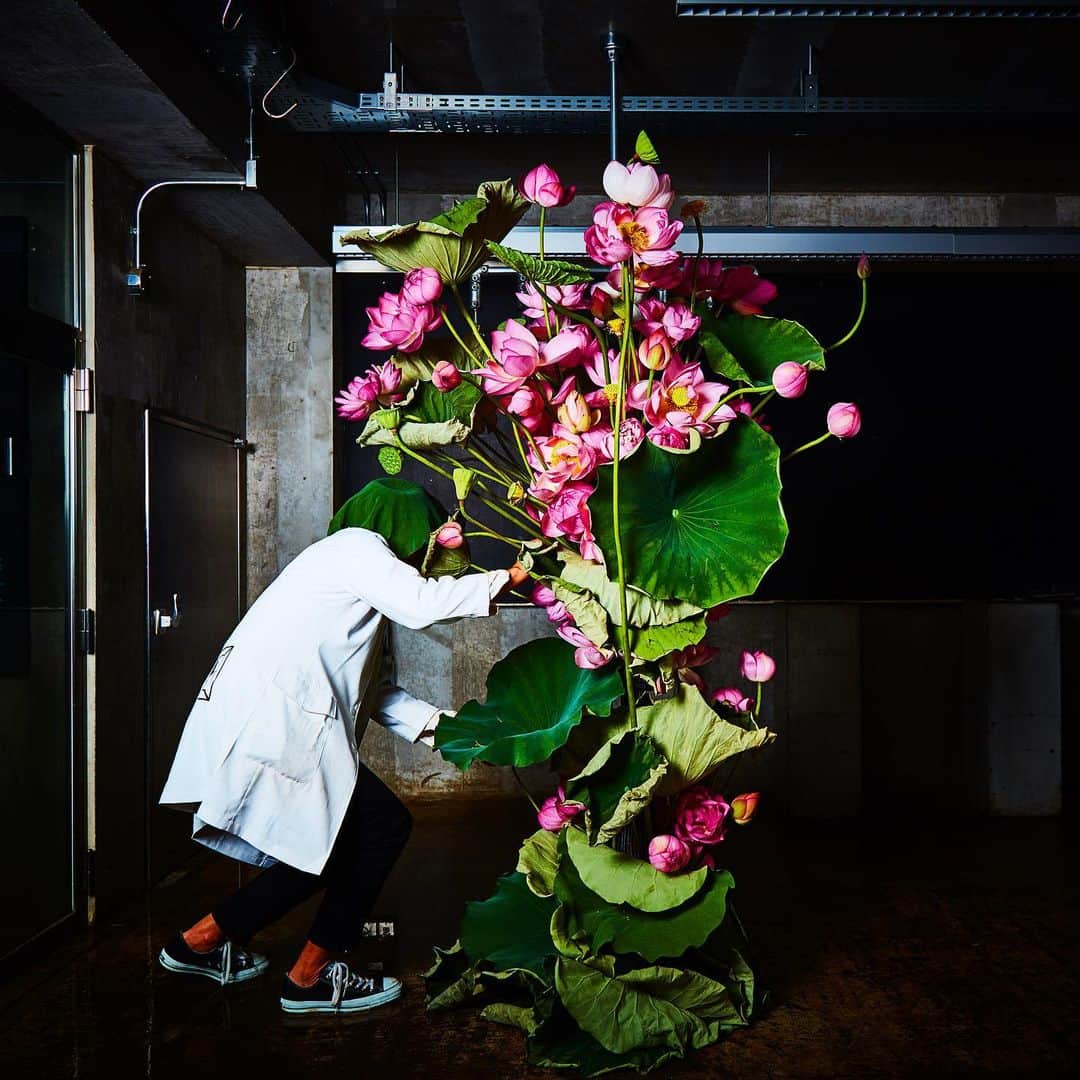 東信さんのインスタグラム写真 - (東信Instagram)「Flowers #amkk #amkkproject #makotoazuma #azumamakoto #東信花樹研究所 #東信 #jardinsdesfleurs #shiinokishunsuke #flowerart #flower #flowers」6月16日 8時09分 - azumamakoto