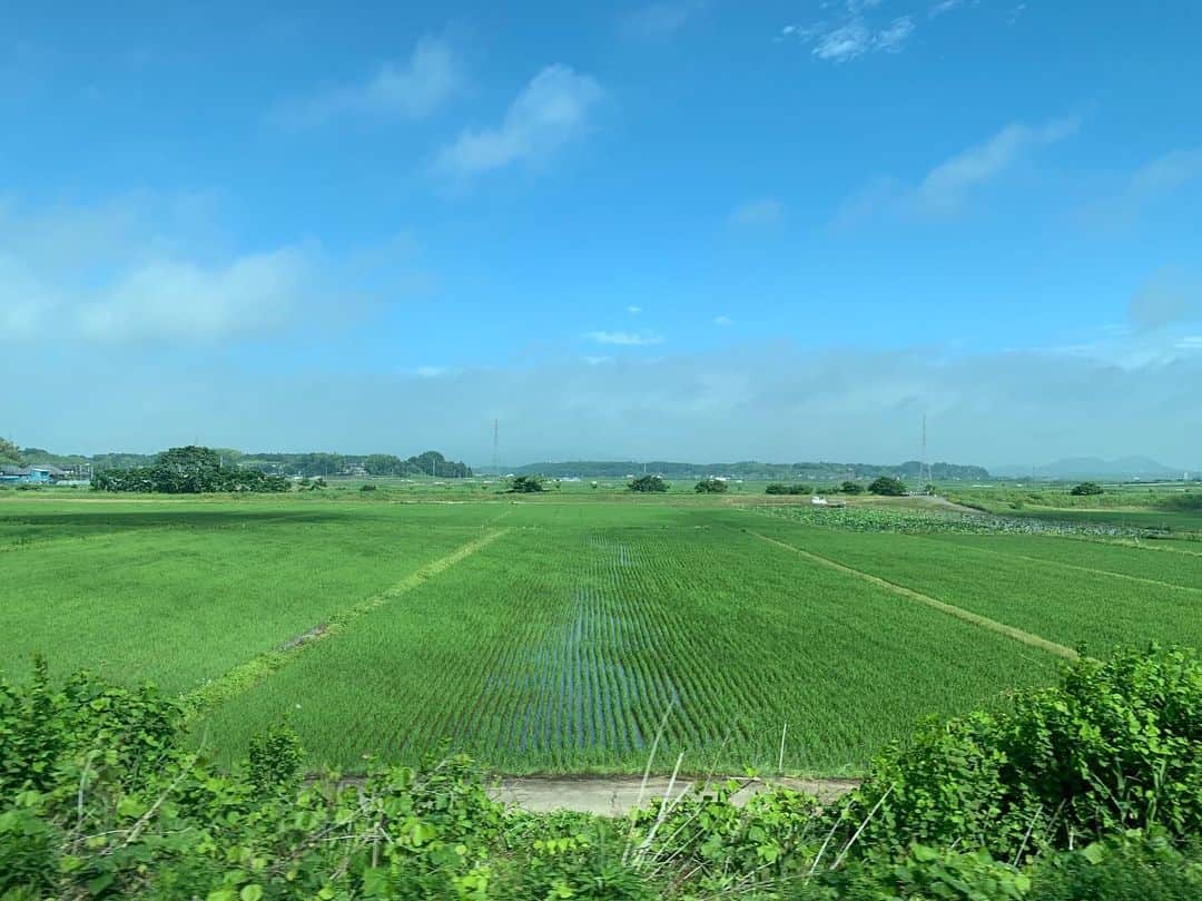 Monday満ちるさんのインスタグラム写真 - (Monday満ちるInstagram)「Long day of travel today, but when the view is like this, it is quite peaceful. #shinkansen」6月16日 8時13分 - mondaymichiru