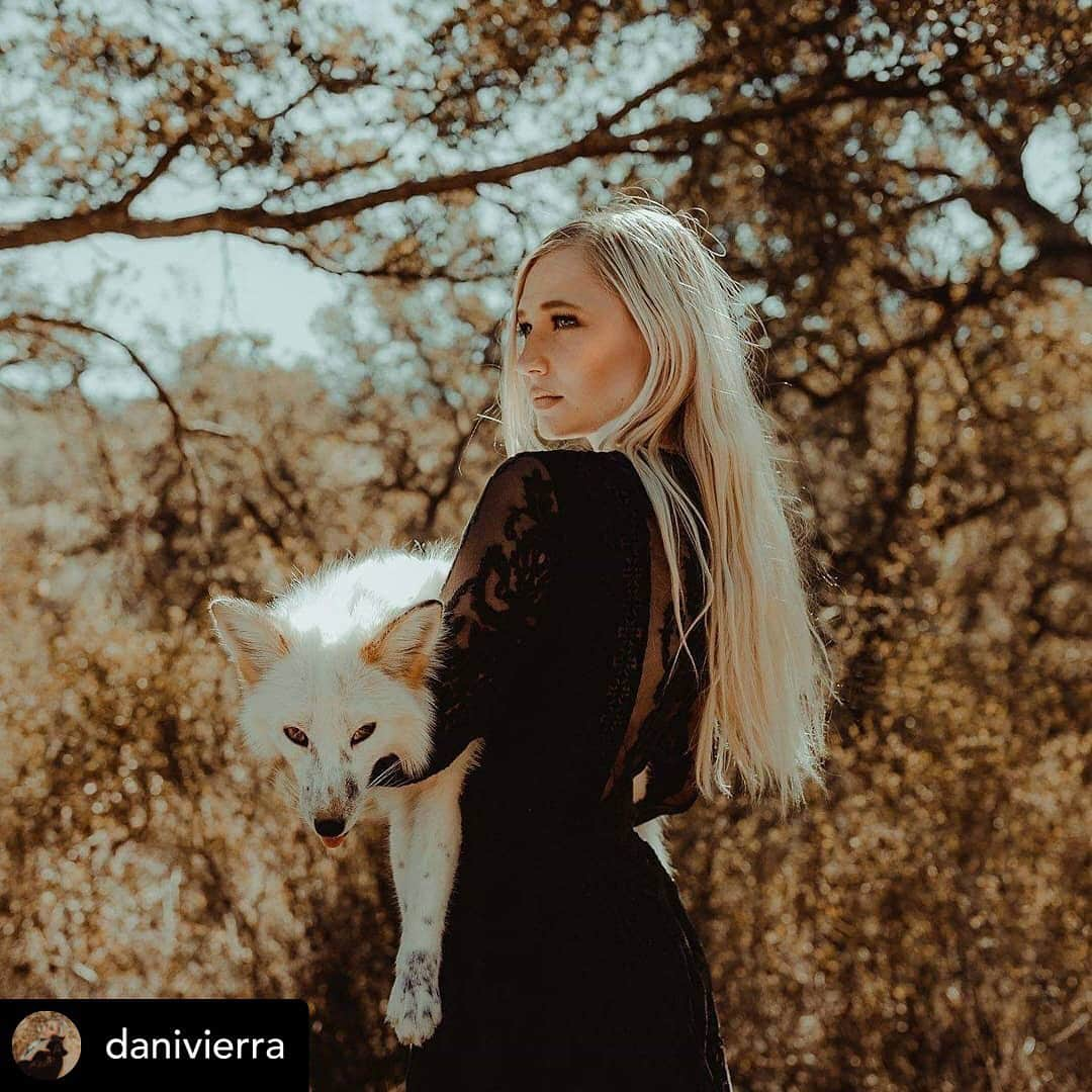 Rylaiさんのインスタグラム写真 - (RylaiInstagram)「Grand Opening Oct 5-6, 2019: From Russia with Love ANNOUNCEMENT! Miss Nevada will be joining us for the Grand Opening!! Miss Nevada’s mission is to help victims of domestic violence by incorporating the healing power of nature, in particular canids!!! . We are thrilled to have her as a friend and an advocate for canids and women!! As a model she will talk about the use of fur in fashion and how she has learned she has had to set those boundaries, even if she loses work.  She will be a proud advocate for a fur free fashion world!! @danivierra . We had the pleasure of being invited to do a photoshoot with her and our Ambassadors!! Photo credit: @cyrenarose  Fox models: Maksa and Viktor @jabcecc  Wolf model: @roguesmom1 . . #furfree #missnevada #foxesofinstagram #sandiegogram #russiandomesticatedfox #russiandomesticatedfoxes #fox #fromrussiawithlove #photography #photoshoot #domesticviolence #healthrunature #foxylady #saynotofur #furrreefashion #lovefoxes #canids #models #compassion #kindness #sandiego #socal #nevada」6月16日 8時27分 - jabcecc