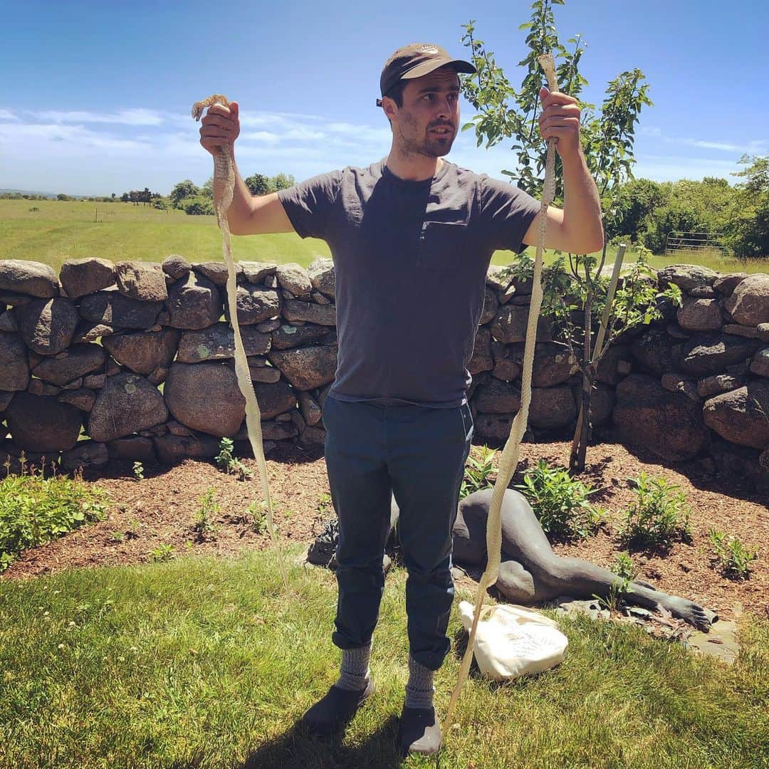 ジェニー・スレイトさんのインスタグラム写真 - (ジェニー・スレイトInstagram)「Nothing but boyfriend in front of nude sculpture and holding two 6 foot snake skins and then walking around mumbling w deep concern “that’s a six foot snake!” 🆒🆒🆒way to be @benshattuck_art way to be 😍」6月16日 8時44分 - jennyslate