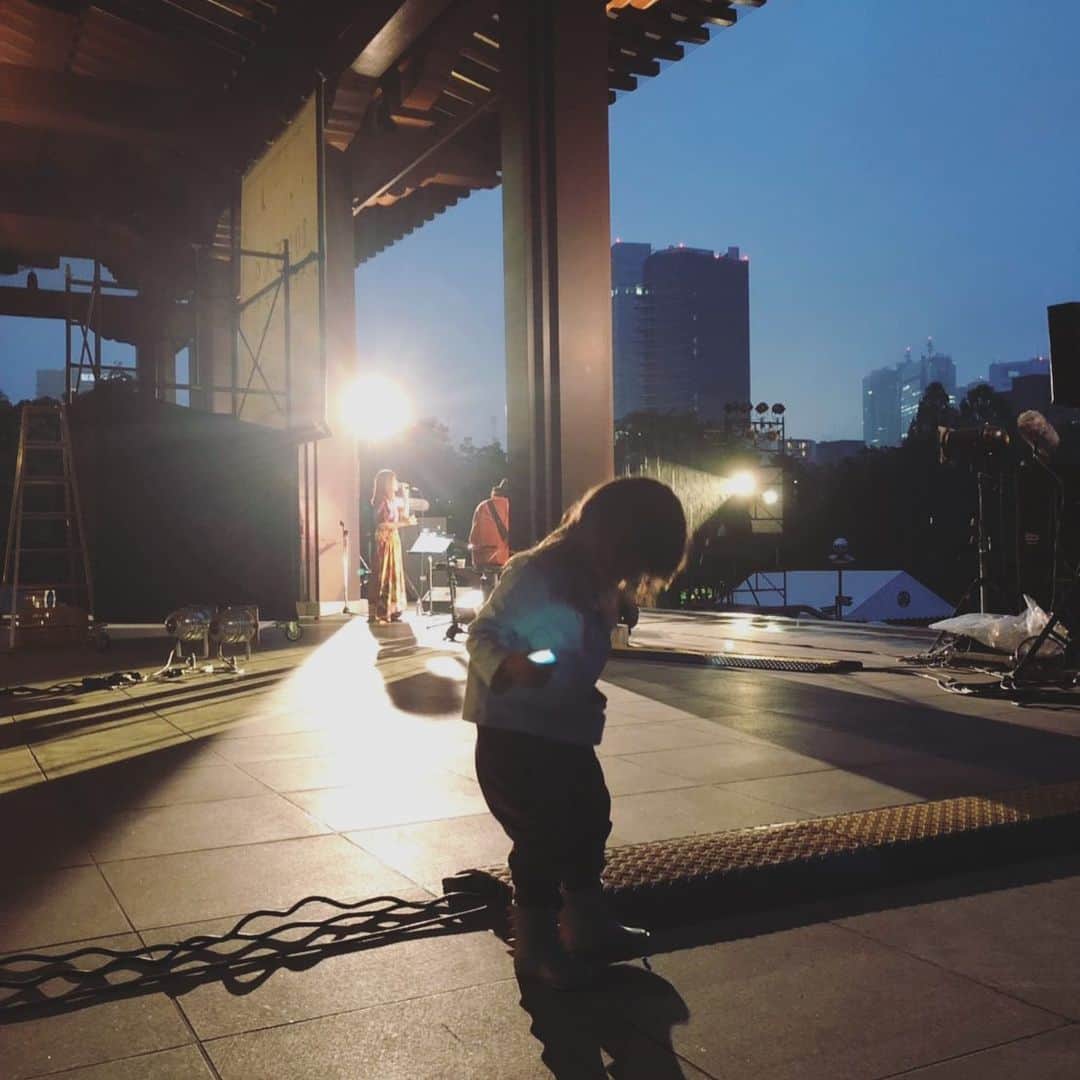 坂本美雨さんのインスタグラム写真 - (坂本美雨Instagram)「忘れられない夜 . #100万人のキャンドルナイト #今日のなまこちゃん」6月16日 0時39分 - miu_sakamoto