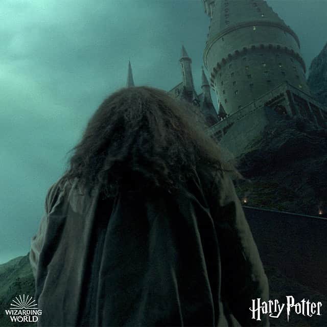 ハリー・ポッターさんのインスタグラム写真 - (ハリー・ポッターInstagram)「The grand arrival of glamourous new friends at Hogwarts.」6月16日 2時33分 - harrypotter