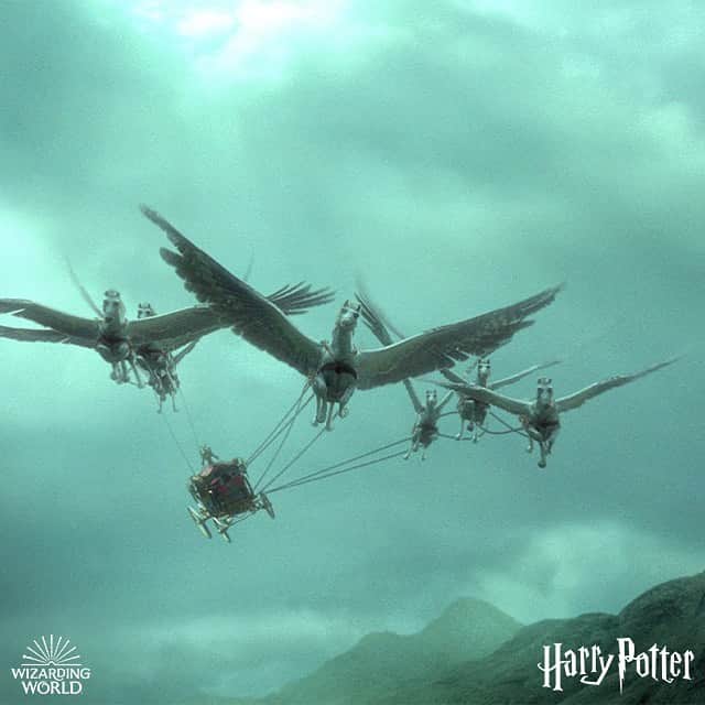 ハリー・ポッターさんのインスタグラム写真 - (ハリー・ポッターInstagram)「The grand arrival of glamourous new friends at Hogwarts.」6月16日 2時33分 - harrypotter