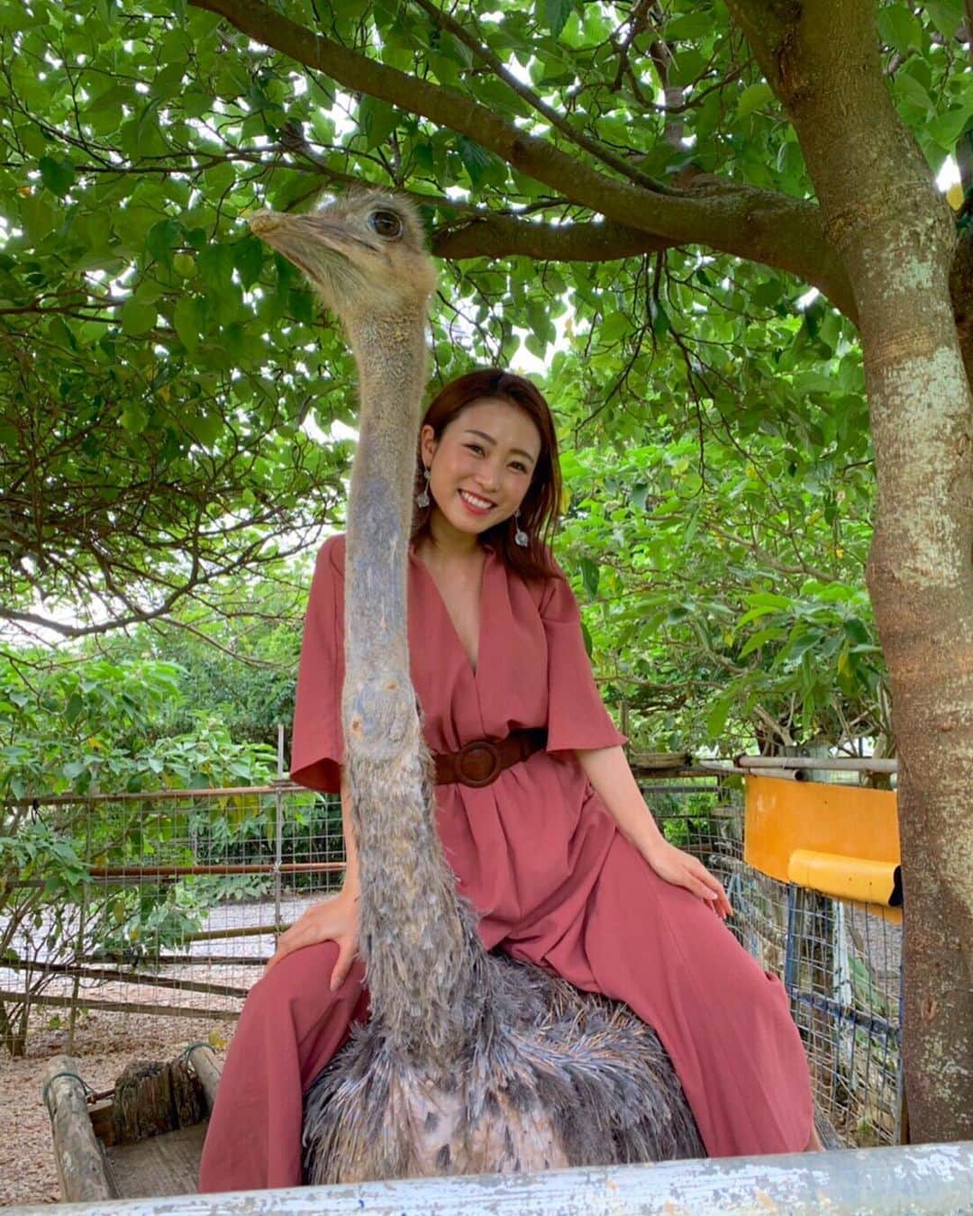 柚月めいのグルメインスタ