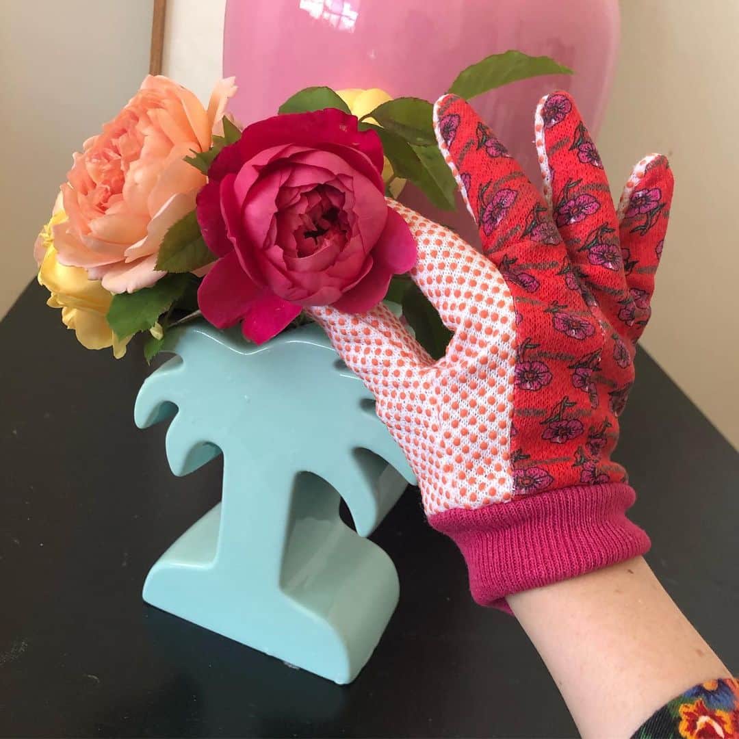 のインスタグラム：「Freshly picked... (by someone else 🤭) 💐👌🏼✂️🌴 #roses #gardeninggloves #involuntaryhandthemeonthisinsta」