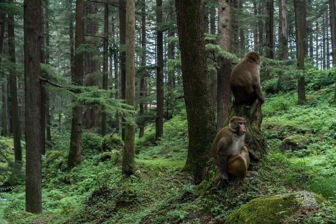 National Geographic Travelのインスタグラム