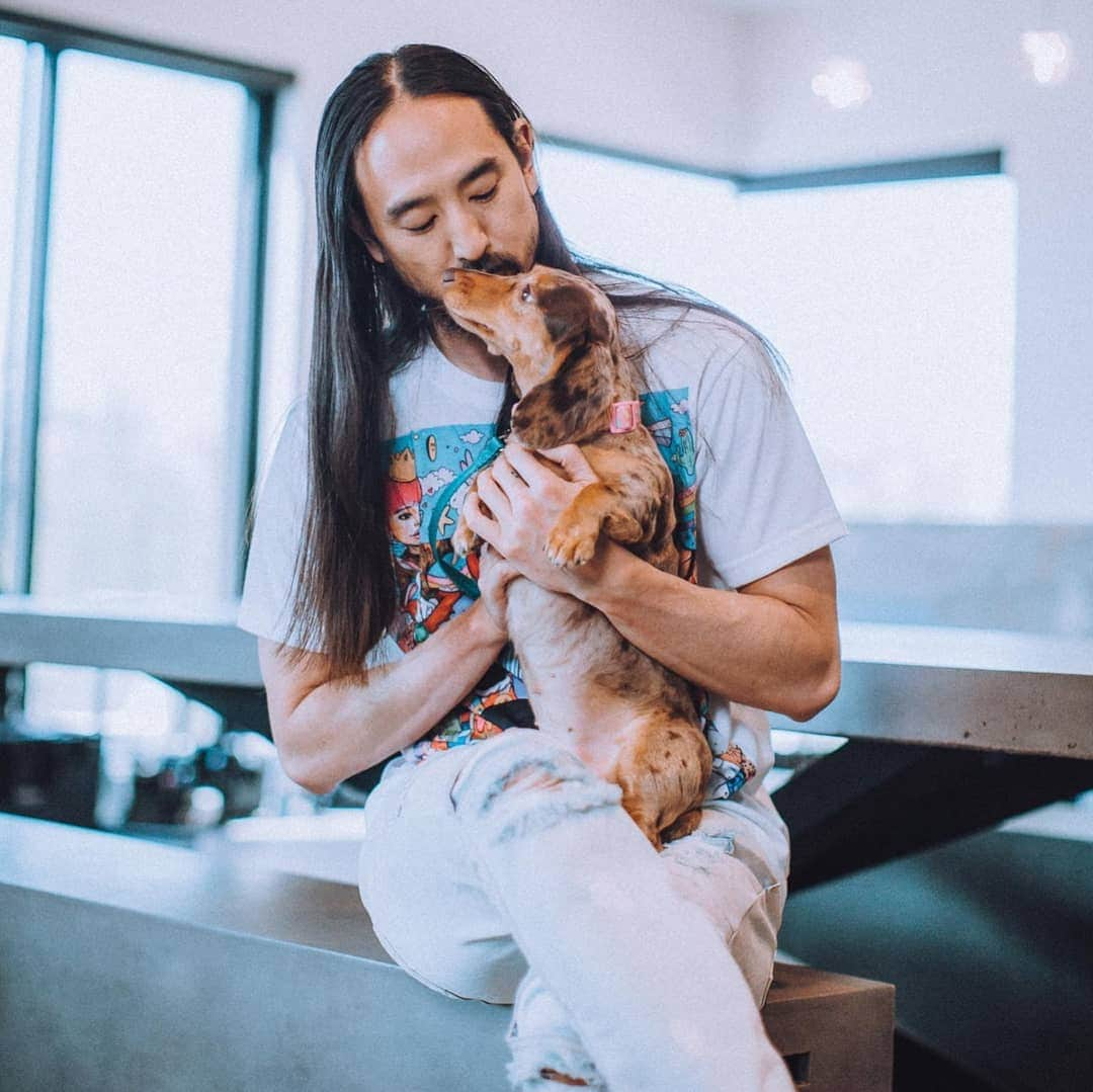 スティーヴ・アオキさんのインスタグラム写真 - (スティーヴ・アオキInstagram)「R u dog or cat person?」6月16日 4時36分 - steveaoki