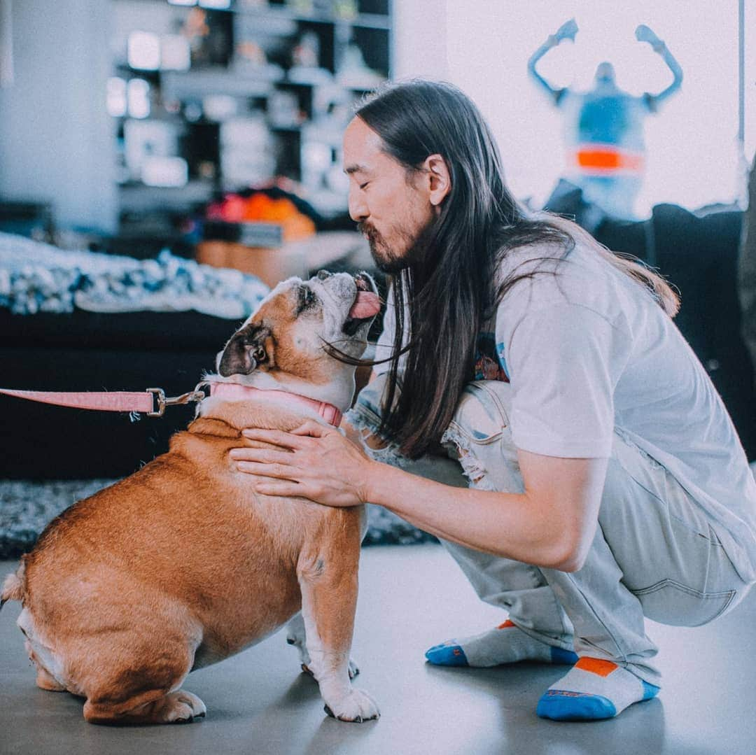 スティーヴ・アオキさんのインスタグラム写真 - (スティーヴ・アオキInstagram)「R u dog or cat person?」6月16日 4時36分 - steveaoki