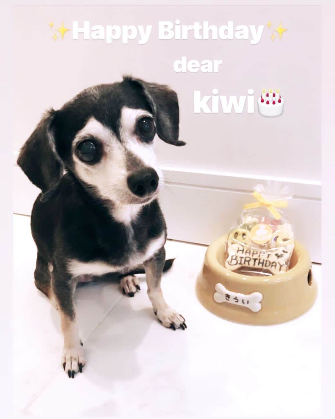 MAKIDAIさんのインスタグラム写真 - (MAKIDAIInstagram)「Happy Birthday dear kiwi ☺️✨ 15 years old🎂✨👏 one love‼️ プレゼントありがとうございました✨2019.6.16.」6月16日 18時16分 - exile_makidai_pkcz