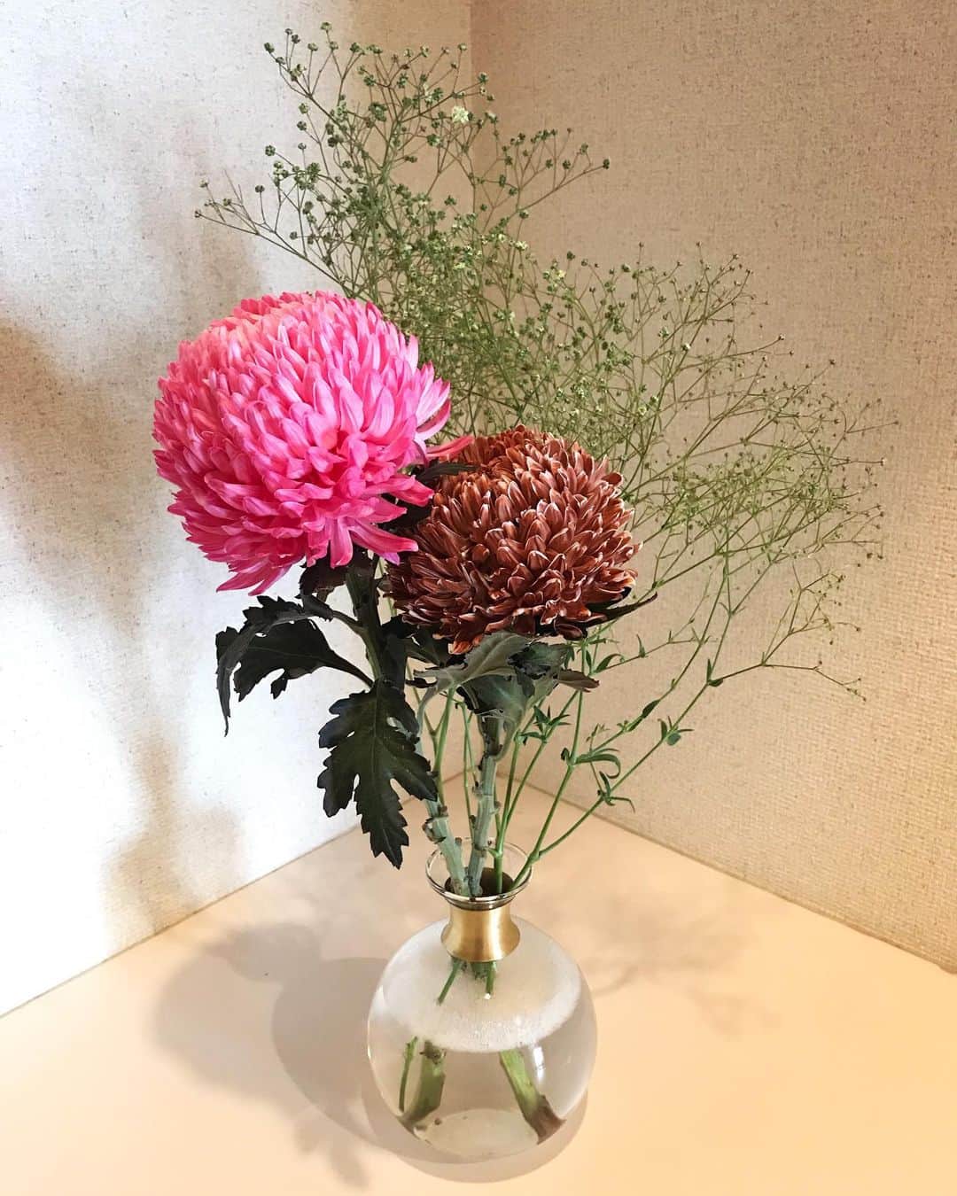 坂詰美紗子さんのインスタグラム写真 - (坂詰美紗子Instagram)「超一目惚れフラワー。 ・ ・ ・ #flowers  #pink #やっぱ色っしょ #colors  #組み合わせるの好きすぎる #元気 #お気に入り」6月16日 17時00分 - misako_sakazume