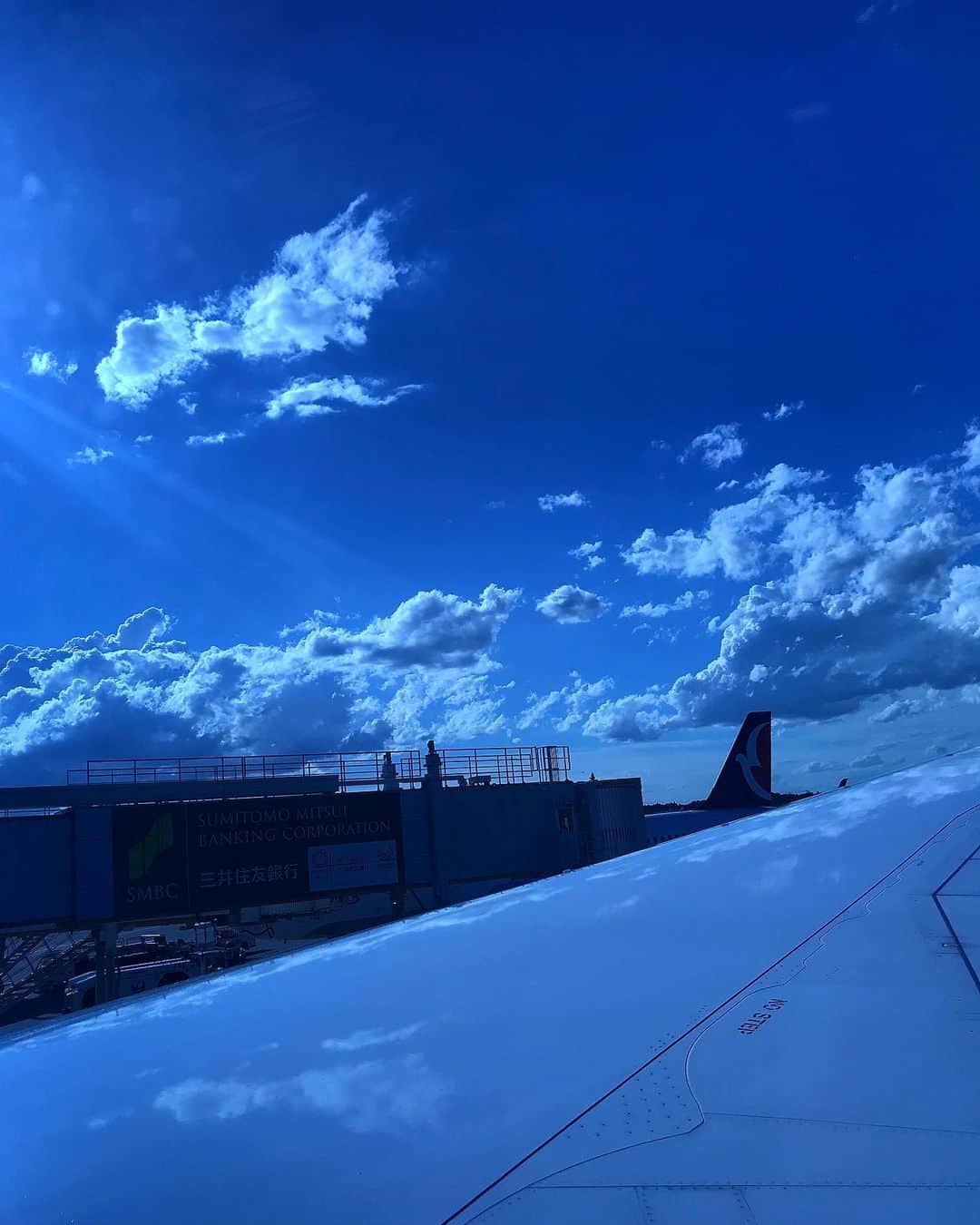 のインスタグラム：「無事日本到着👍🏻 I arrived in Japan safely.  Thank you friends in NY! #japan #帰国」