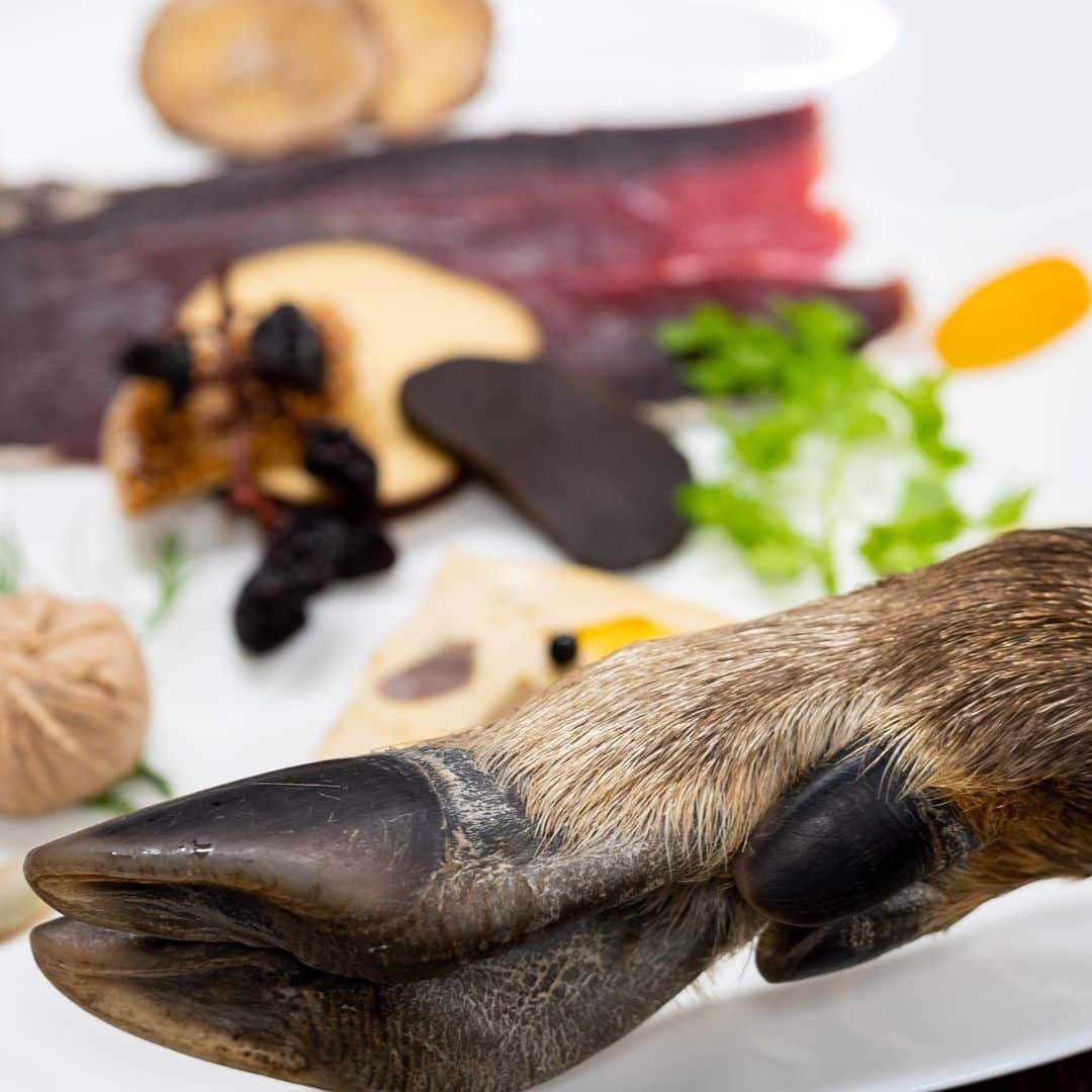 山人のグルメインスタ