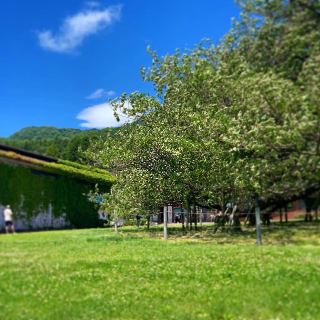 透水さらさのインスタグラム：「昨日の嵐が嘘のように🌿 気持ちいい日曜日☀️」