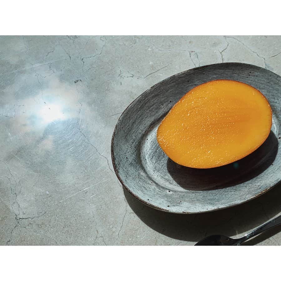 辻美里さんのインスタグラム写真 - (辻美里Instagram)「・﻿﻿ 宮崎県産の完熟マンゴーが届きました。﻿ くちいっぱいにひろがる甘い果汁。 ﻿ ﻿ はぁぁ。﻿ 幸せ行きね☺️﻿ ﻿ ゼリーみたいにスプーンですくって食べるのが好み。﻿ ﻿﻿ 晴富さんはパッケージもかわいいので、﻿﻿ 贈り物にも喜ばれるよ🥭✨﻿ ﻿ ﻿﻿ ﻿﻿ #晴富#岡山#フルーツのある生活#完熟マンゴー#harutomi#okayama#japanesegift @harutomi_select #ギフト﻿#プレゼント#手土産﻿ ﻿﻿ ﻿﻿」6月16日 17時54分 - s666yy