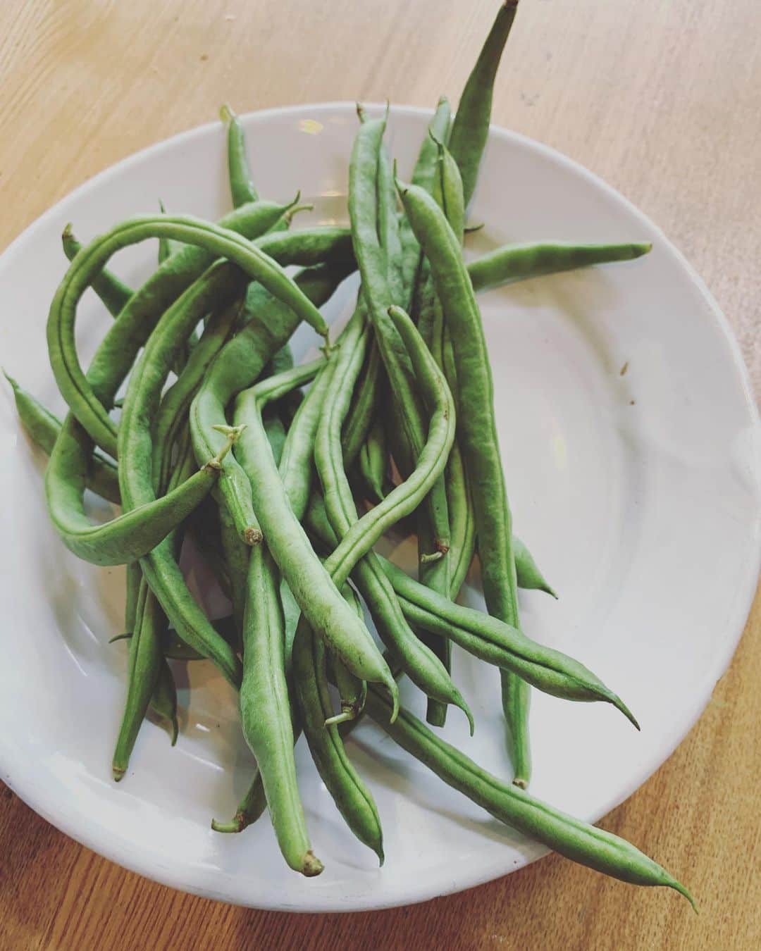 のインスタグラム：「はる学校の今年の収穫は、つるありインゲン。胡麻和えにしました。めちゃくちゃあまかったです。」