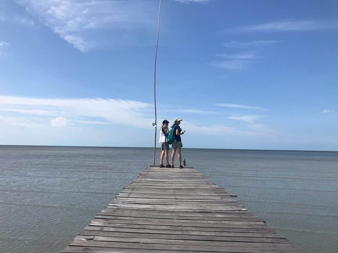 新井利佳さんのインスタグラム写真 - (新井利佳Instagram)「#sea #bangkok #thailand #thailand_ig #thailandtravel #salt #saltfarm #bangkoksalt #sky #blue #bangkokpetlife #mangrove #worldisbeautiful🌍❤️ #summervacation  #鹽 #鹽田 #曼谷 #泰國 #泰國旅遊  #暑假 #暑假活動 #紅樹林  #塩田 #バンコク #バンコク塩田 #マングローブの森 #こんなタイ知らなかった」6月16日 9時46分 - rika.arai