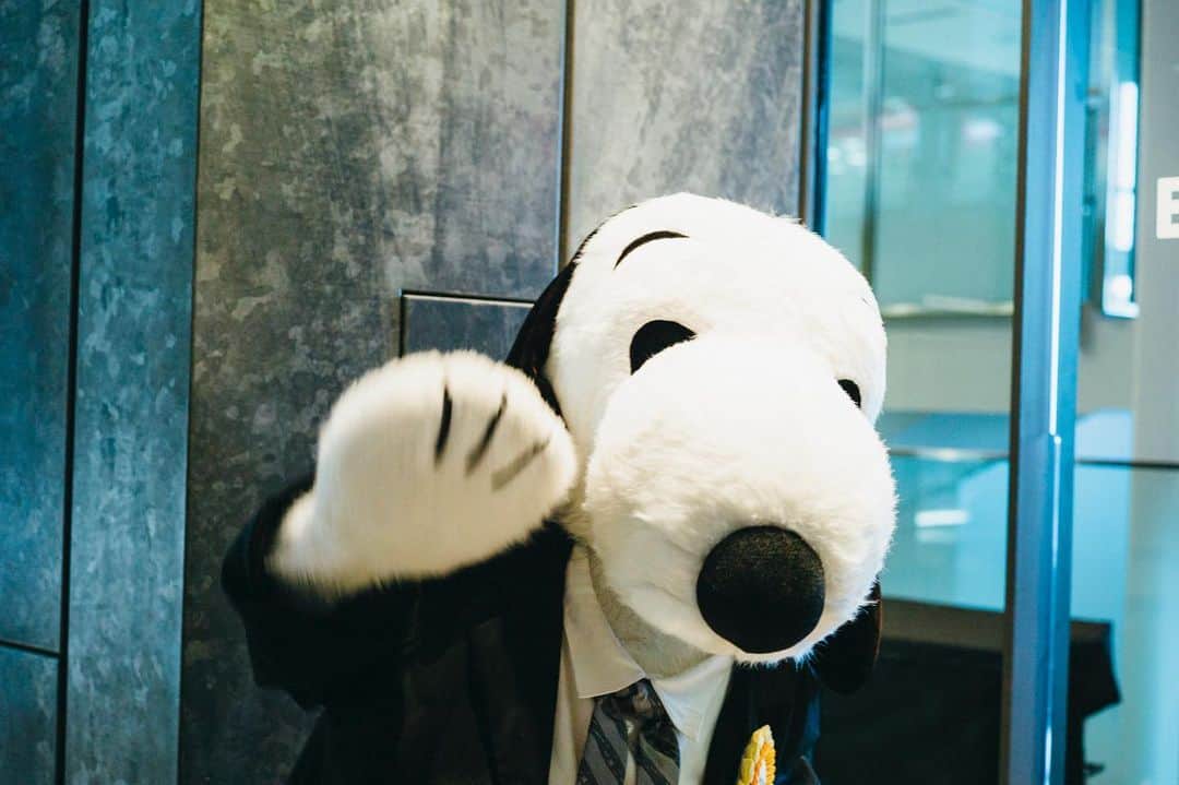 SNOOPY MUSEUM TOKYOのインスタグラム：「#スヌーピーミュージアム展  #thebestofpeanuts #snoopymuseumtokyo #schulzmuseum #snoopy #スヌーピーミュージアム #スヌーピー」