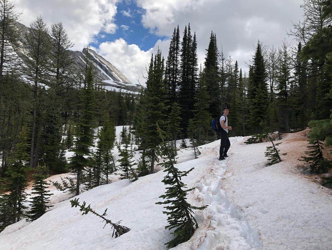 ヘイリー・ベルさんのインスタグラム写真 - (ヘイリー・ベルInstagram)「Trekked through some waist deep snow, but it was defiantly worth the view. So happy to finally make it back to the mountains ☺️🌲🏔 . . . . #explorealberta #kananaskiscountry #hike #getoutside #burstallpass #snow」6月16日 11時16分 - hayleighbell