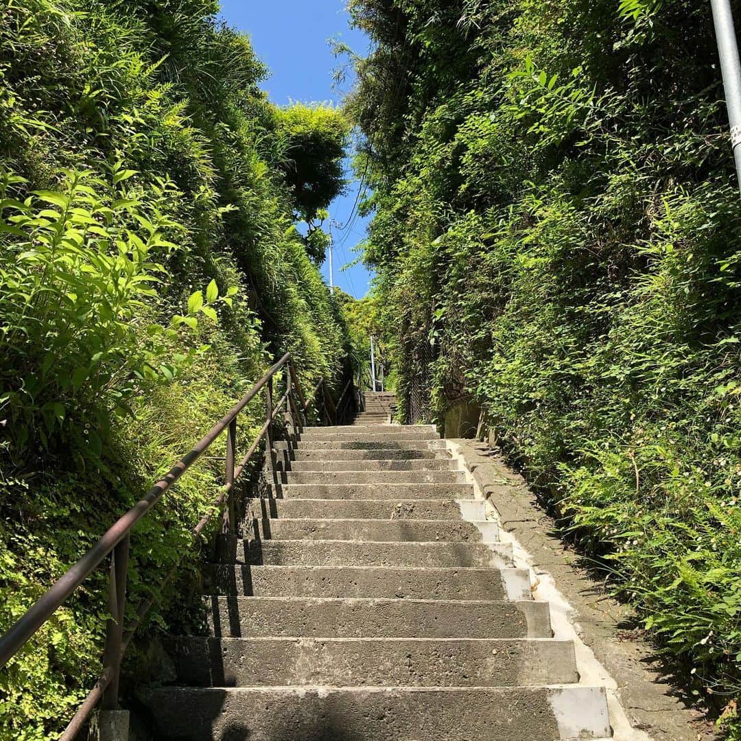 のインスタグラム：「どこまでも続く階段 #階段#坂道」