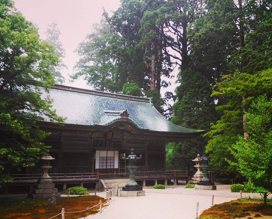 のインスタグラム：「西塔から東塔へは徒歩で移動。 浄土院（伝教大師御廟）では自分以外、誰の気配も感じない静寂の世界。 #延暦寺 #伝教大師御廟 #浄土院 #ナルト歌舞伎休演日 #naruto #静寂の世界」