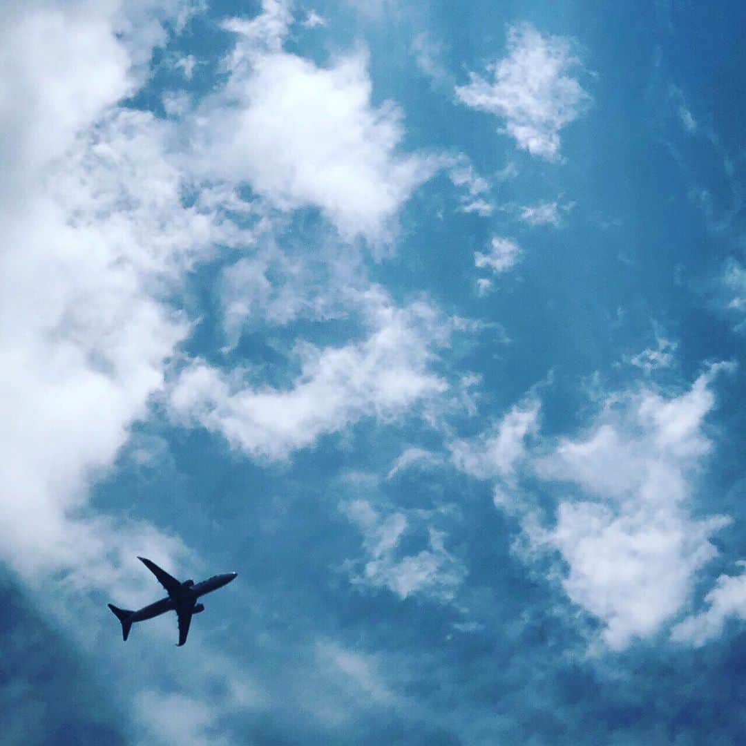 日本テレビ「偽装不倫」さんのインスタグラム写真 - (日本テレビ「偽装不倫」Instagram)「‪ Photo by #杏 さん✨‬ ‪福岡ロケの合間、空を見上げて飛行機✈️の写真を撮っていた杏さん。鐘子(#杏)とイケメンカメラマンの丈(#宮沢氷魚)が運命の出会いを果たす場所も飛行機の機内…杏さんも2人の出会いに思いを馳せていたのでしょうか。。。‬ ‪#それにしてもステキな写真‬ ‪#丈も真っ青？笑‬ ‪#杏さんのカメラの腕前💯‬ #偽装不倫 #東村アキコ #日テレ #水ドラ #YLAB #LINEマンガ #文藝春秋 【公式HP】 https://www.ntv.co.jp/gisouhurin/」6月16日 12時49分 - gisou_ntv