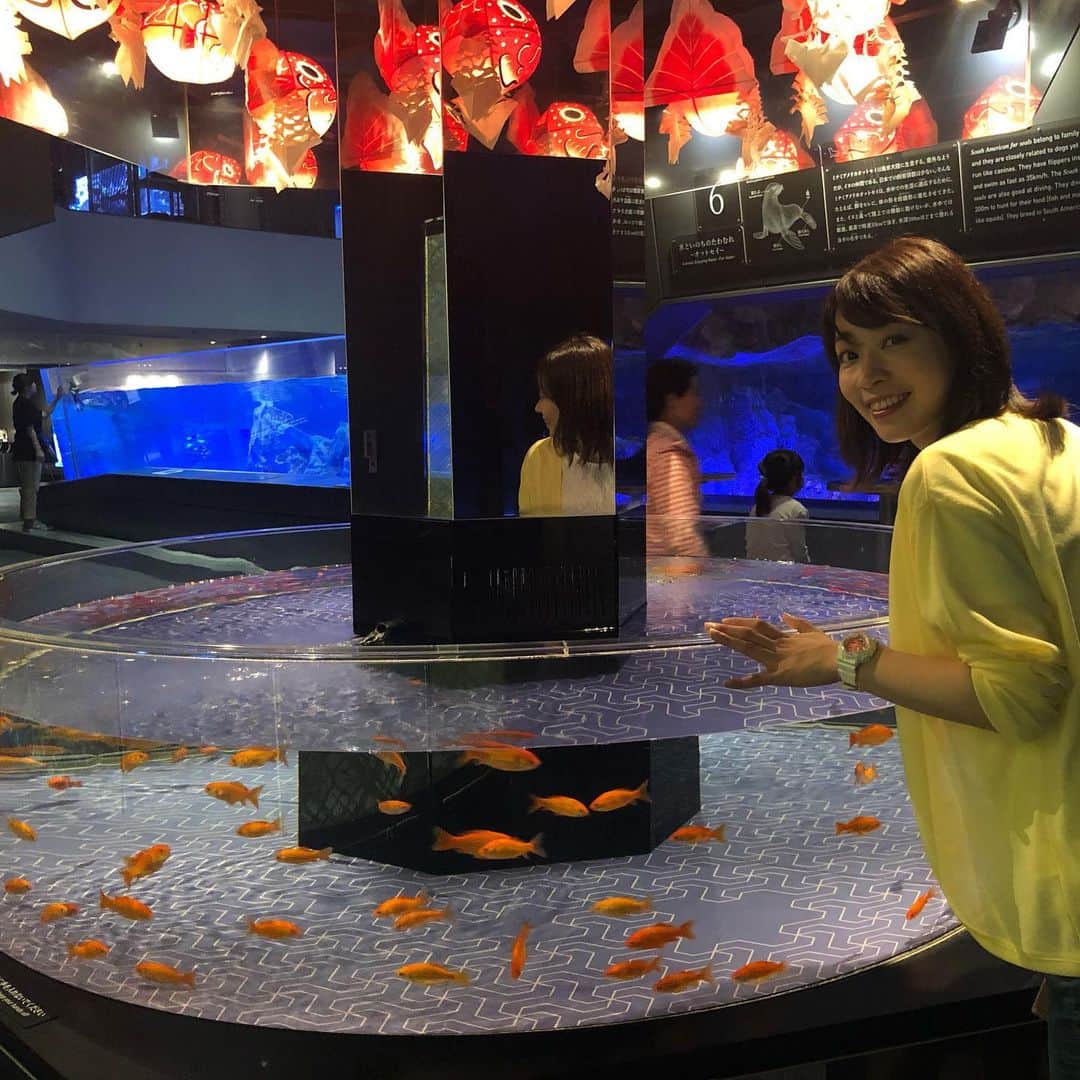 福田麻衣さんのインスタグラム写真 - (福田麻衣Instagram)「#すみだ水族館 今の期間はペンギンの赤ちゃんを見ることができたり、何度行っても楽しめる綺麗な水族館。#ニッポン放送 #ラブメロ レポートにて昨日お邪魔しました。」6月16日 18時26分 - mai2my2