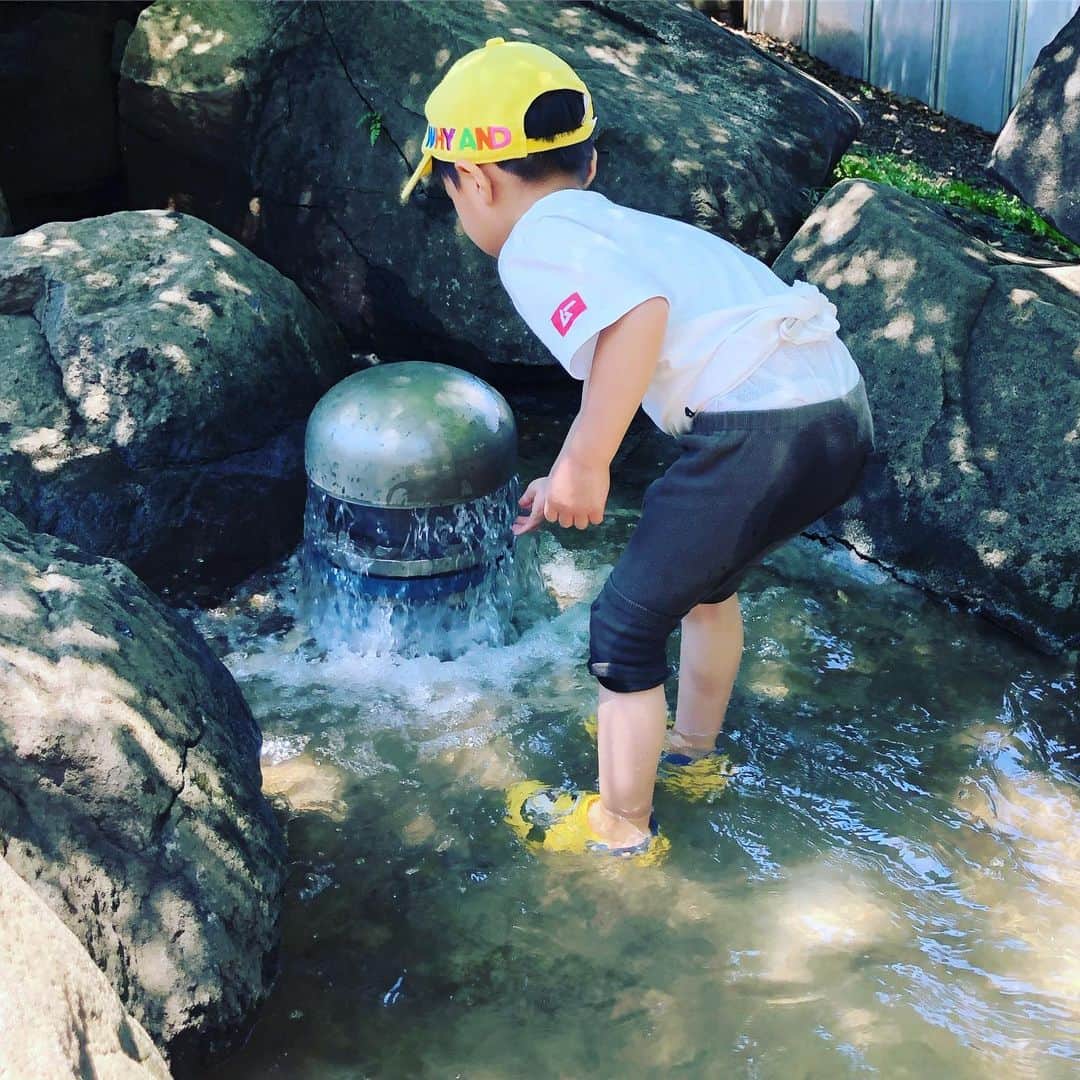 水谷さるころのインスタグラム